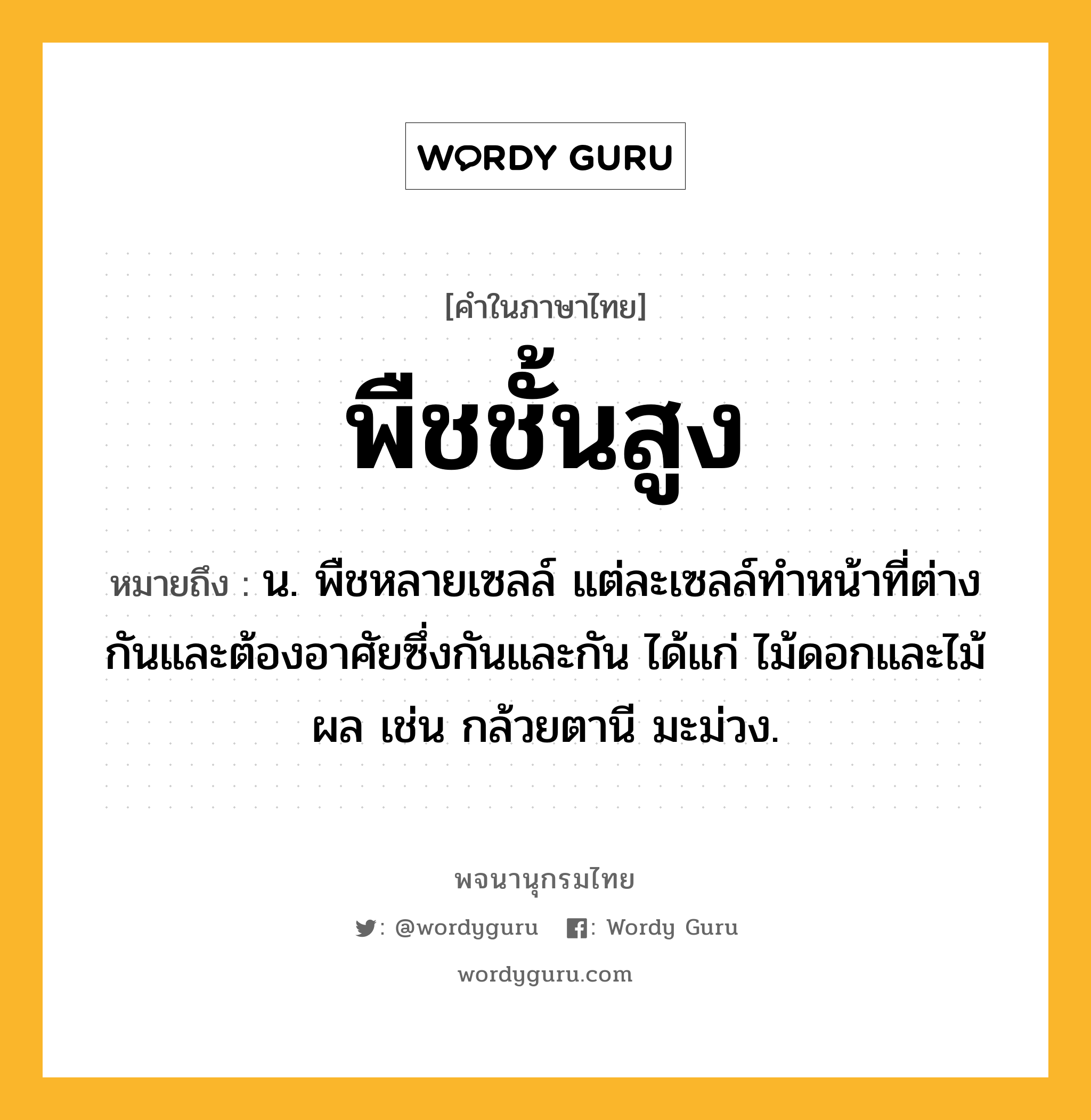 พืชชั้นสูง ความหมาย หมายถึงอะไร?, คำในภาษาไทย พืชชั้นสูง หมายถึง น. พืชหลายเซลล์ แต่ละเซลล์ทําหน้าที่ต่างกันและต้องอาศัยซึ่งกันและกัน ได้แก่ ไม้ดอกและไม้ผล เช่น กล้วยตานี มะม่วง.