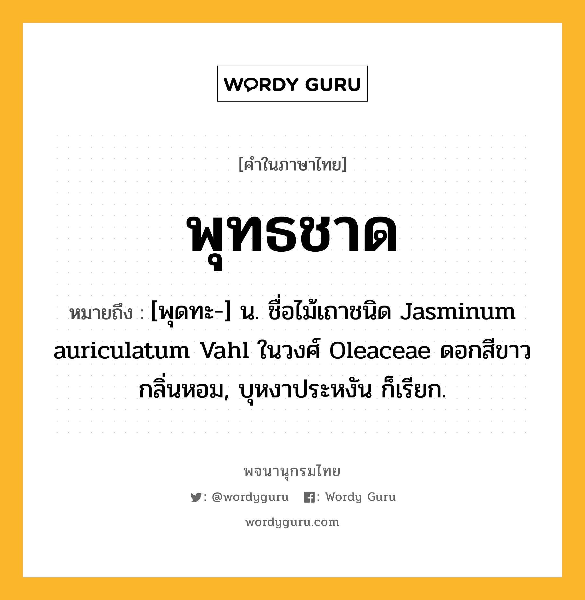 พุทธชาด ความหมาย หมายถึงอะไร?, คำในภาษาไทย พุทธชาด หมายถึง [พุดทะ-] น. ชื่อไม้เถาชนิด Jasminum auriculatum Vahl ในวงศ์ Oleaceae ดอกสีขาวกลิ่นหอม, บุหงาประหงัน ก็เรียก.