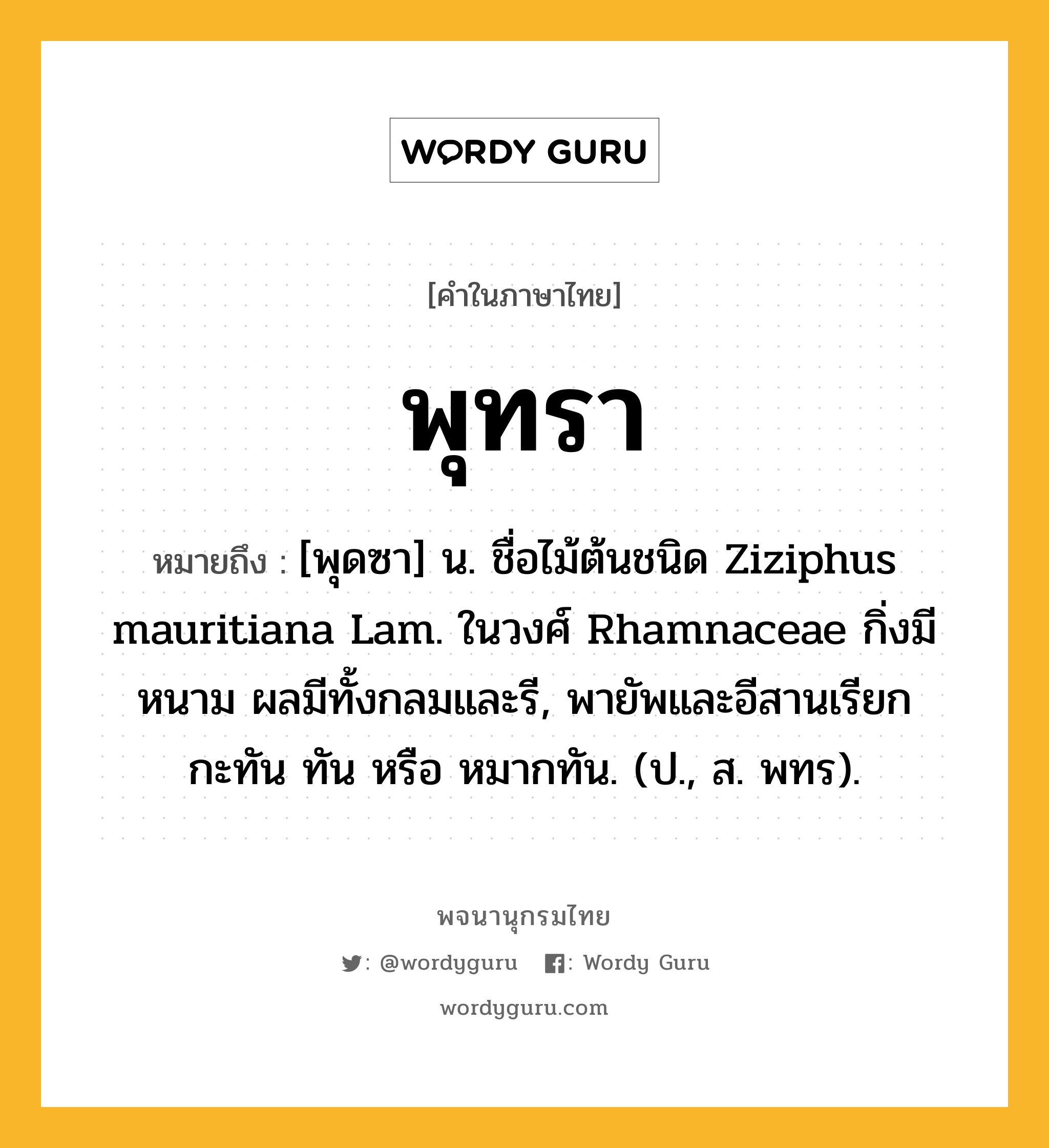 พุทรา ความหมาย หมายถึงอะไร?, คำในภาษาไทย พุทรา หมายถึง [พุดซา] น. ชื่อไม้ต้นชนิด Ziziphus mauritiana Lam. ในวงศ์ Rhamnaceae กิ่งมีหนาม ผลมีทั้งกลมและรี, พายัพและอีสานเรียก กะทัน ทัน หรือ หมากทัน. (ป., ส. พทร).