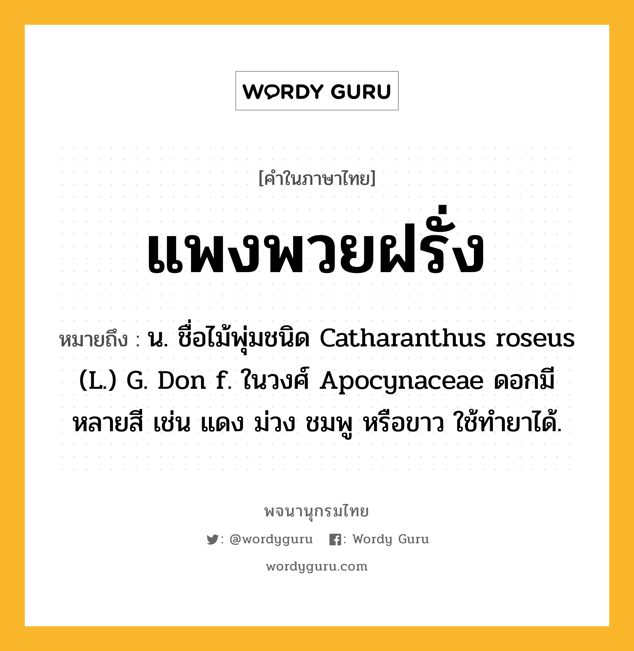 แพงพวยฝรั่ง ความหมาย หมายถึงอะไร?, คำในภาษาไทย แพงพวยฝรั่ง หมายถึง น. ชื่อไม้พุ่มชนิด Catharanthus roseus (L.) G. Don f. ในวงศ์ Apocynaceae ดอกมีหลายสี เช่น แดง ม่วง ชมพู หรือขาว ใช้ทํายาได้.