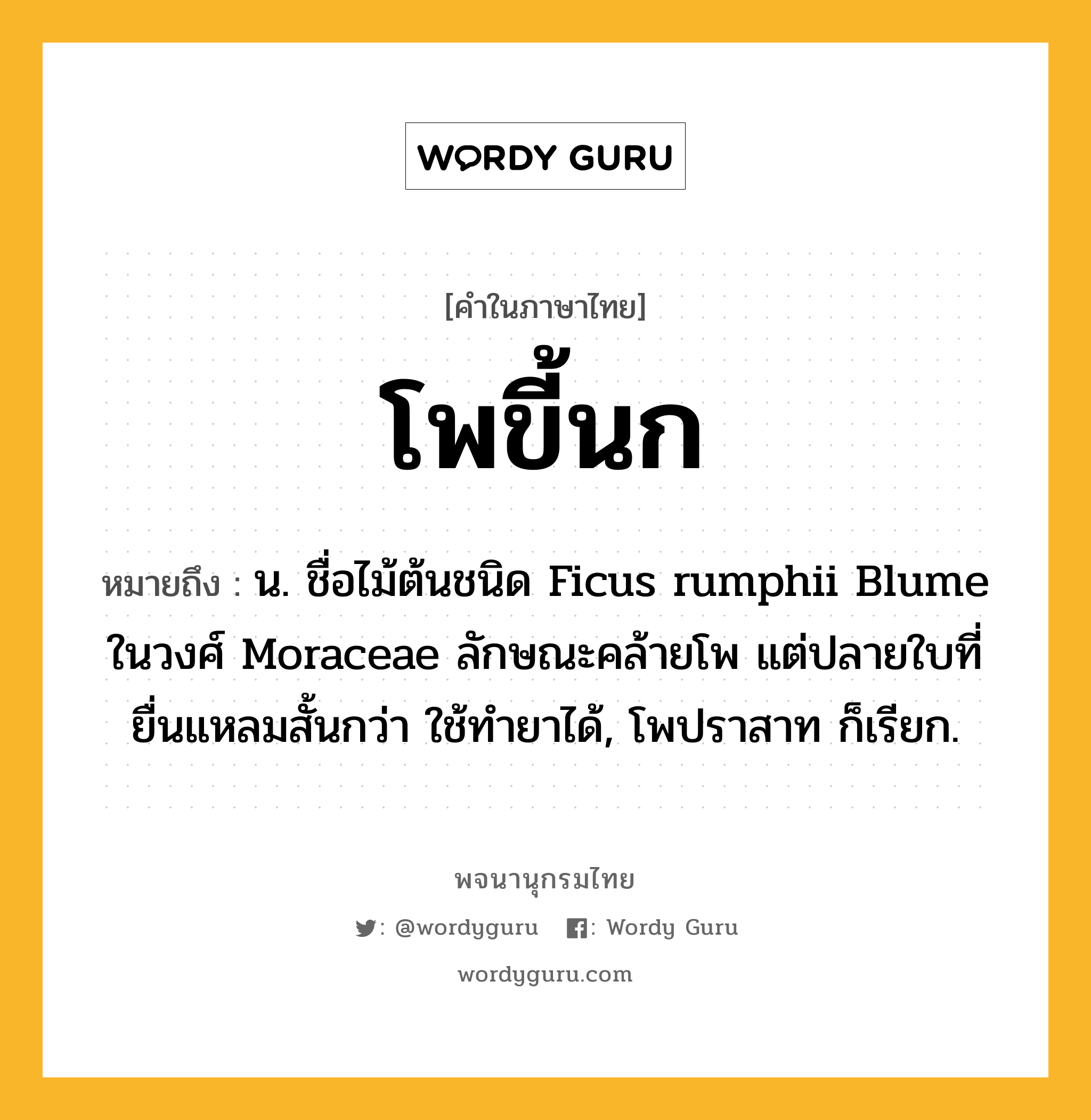 โพขี้นก ความหมาย หมายถึงอะไร?, คำในภาษาไทย โพขี้นก หมายถึง น. ชื่อไม้ต้นชนิด Ficus rumphii Blume ในวงศ์ Moraceae ลักษณะคล้ายโพ แต่ปลายใบที่ยื่นแหลมสั้นกว่า ใช้ทำยาได้, โพปราสาท ก็เรียก.