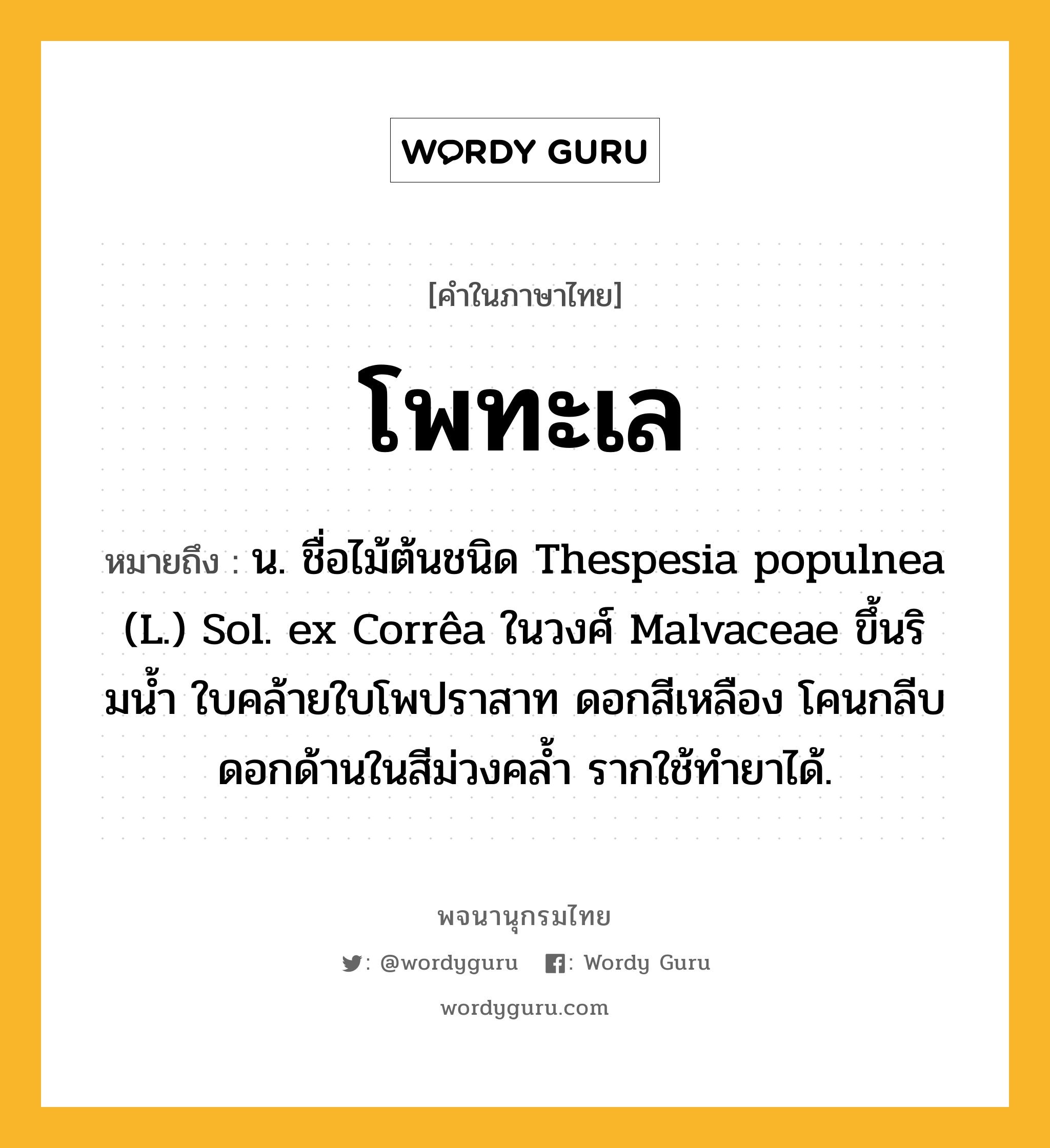 โพทะเล ความหมาย หมายถึงอะไร?, คำในภาษาไทย โพทะเล หมายถึง น. ชื่อไม้ต้นชนิด Thespesia populnea (L.) Sol. ex Corrêa ในวงศ์ Malvaceae ขึ้นริมนํ้า ใบคล้ายใบโพปราสาท ดอกสีเหลือง โคนกลีบดอกด้านในสีม่วงคล้ำ รากใช้ทํายาได้.