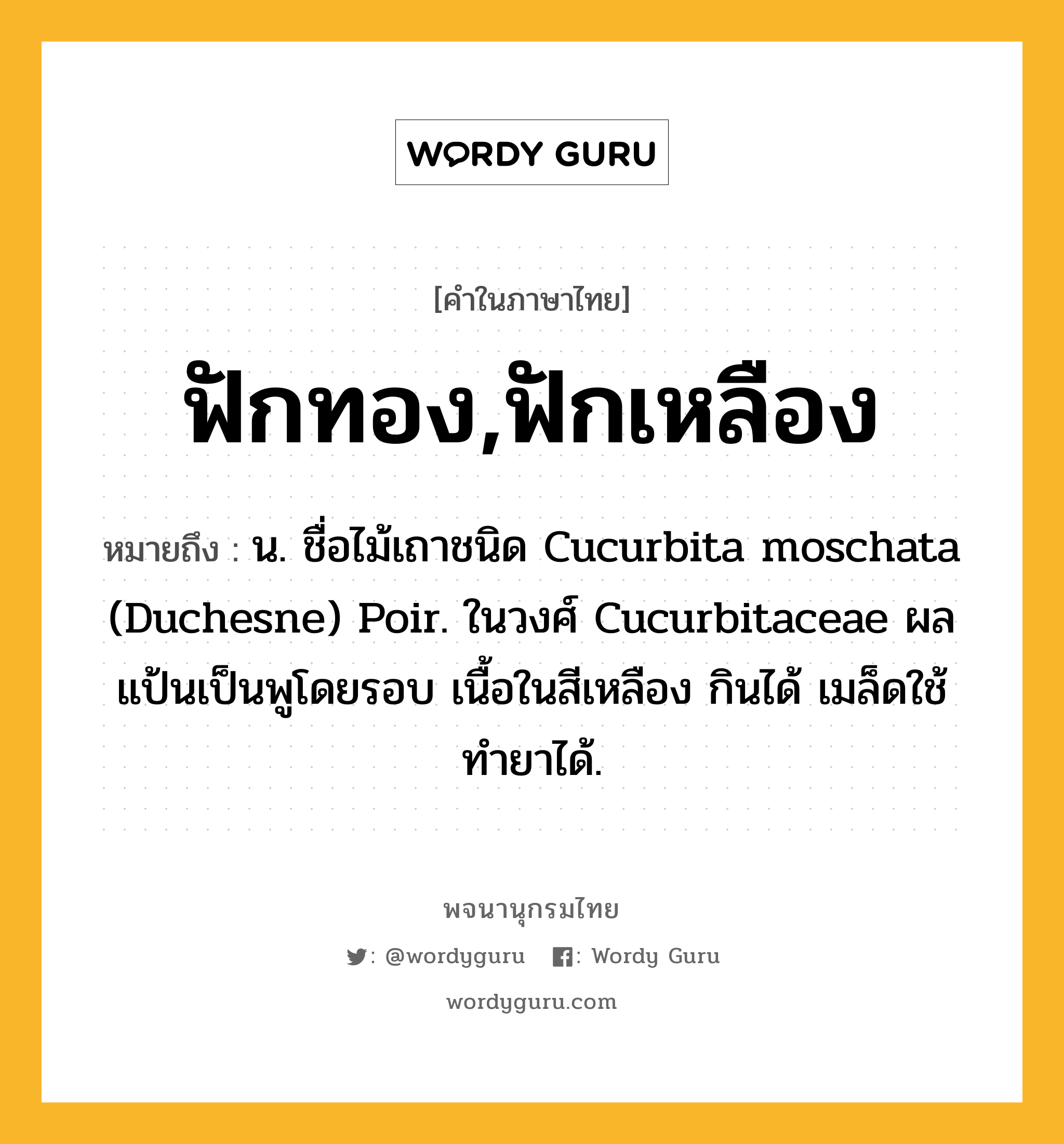 ฟักทอง,ฟักเหลือง ความหมาย หมายถึงอะไร?, คำในภาษาไทย ฟักทอง,ฟักเหลือง หมายถึง น. ชื่อไม้เถาชนิด Cucurbita moschata (Duchesne) Poir. ในวงศ์ Cucurbitaceae ผลแป้นเป็นพูโดยรอบ เนื้อในสีเหลือง กินได้ เมล็ดใช้ทํายาได้.