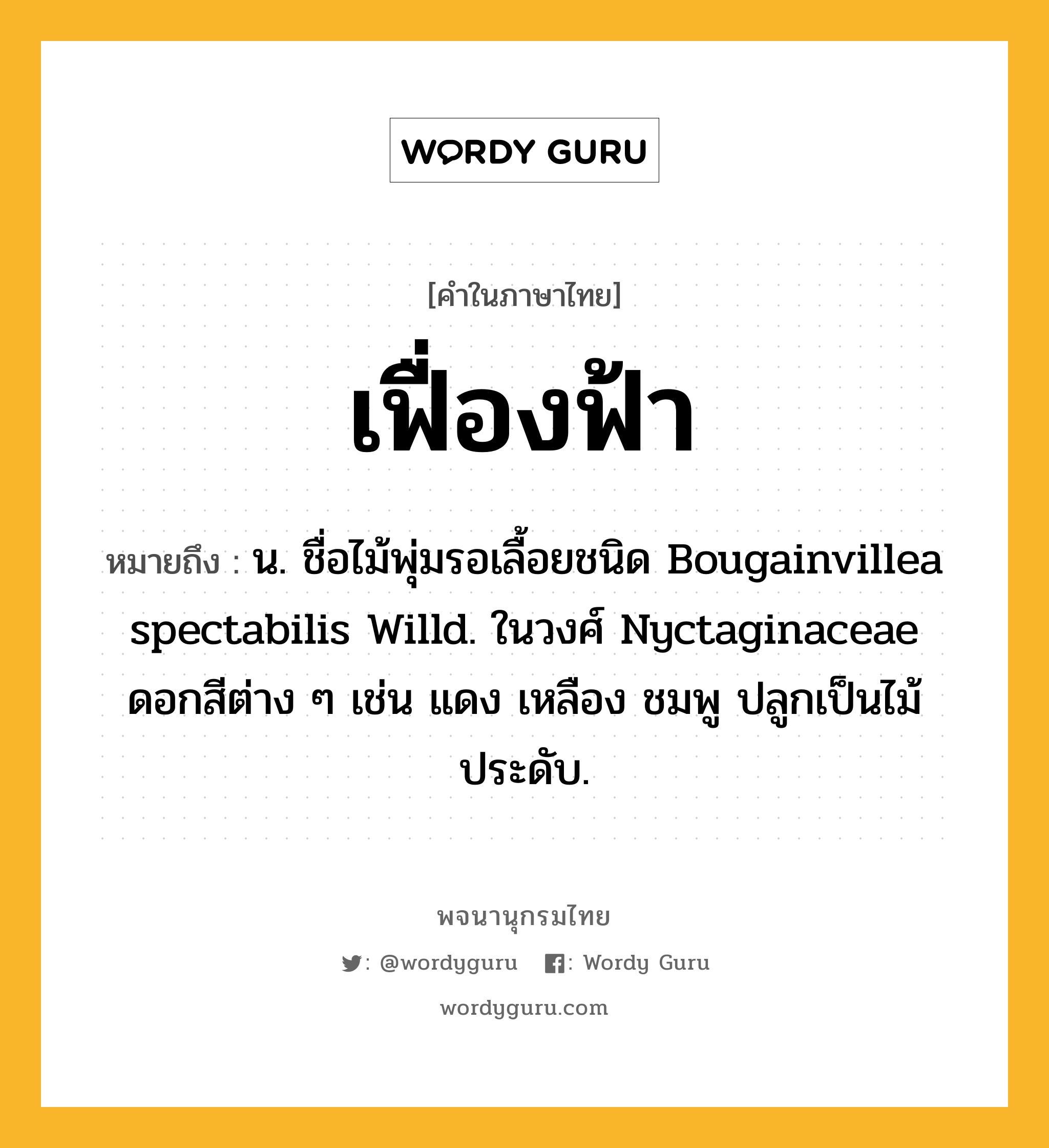 เฟื่องฟ้า ความหมาย หมายถึงอะไร?, คำในภาษาไทย เฟื่องฟ้า หมายถึง น. ชื่อไม้พุ่มรอเลื้อยชนิด Bougainvillea spectabilis Willd. ในวงศ์ Nyctaginaceae ดอกสีต่าง ๆ เช่น แดง เหลือง ชมพู ปลูกเป็นไม้ประดับ.