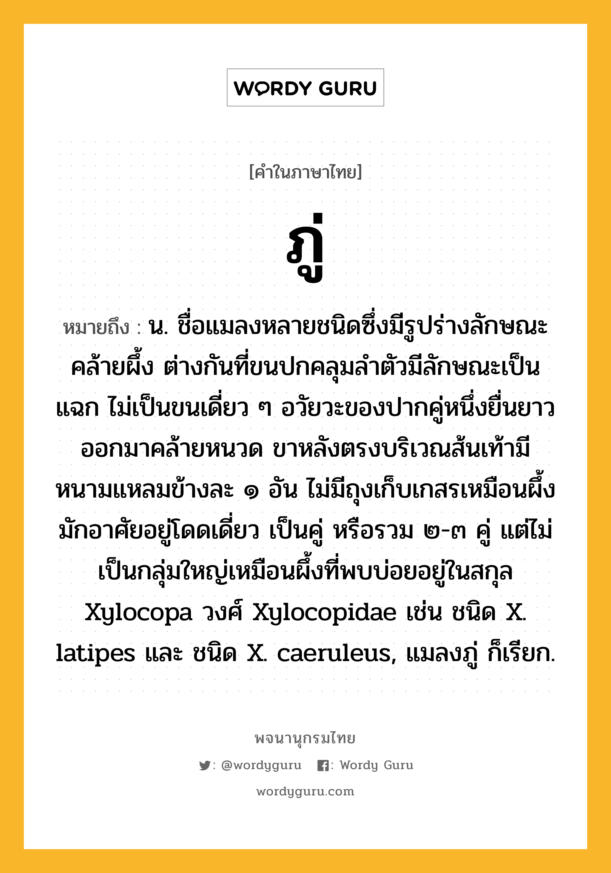 ภู่ ความหมาย หมายถึงอะไร?, คำในภาษาไทย ภู่ หมายถึง น. ชื่อแมลงหลายชนิดซึ่งมีรูปร่างลักษณะคล้ายผึ้ง ต่างกันที่ขนปกคลุมลําตัวมีลักษณะเป็นแฉก ไม่เป็นขนเดี่ยว ๆ อวัยวะของปากคู่หนึ่งยื่นยาวออกมาคล้ายหนวด ขาหลังตรงบริเวณส้นเท้ามีหนามแหลมข้างละ ๑ อัน ไม่มีถุงเก็บเกสรเหมือนผึ้ง มักอาศัยอยู่โดดเดี่ยว เป็นคู่ หรือรวม ๒-๓ คู่ แต่ไม่เป็นกลุ่มใหญ่เหมือนผึ้งที่พบบ่อยอยู่ในสกุล Xylocopa วงศ์ Xylocopidae เช่น ชนิด X. latipes และ ชนิด X. caeruleus, แมลงภู่ ก็เรียก.