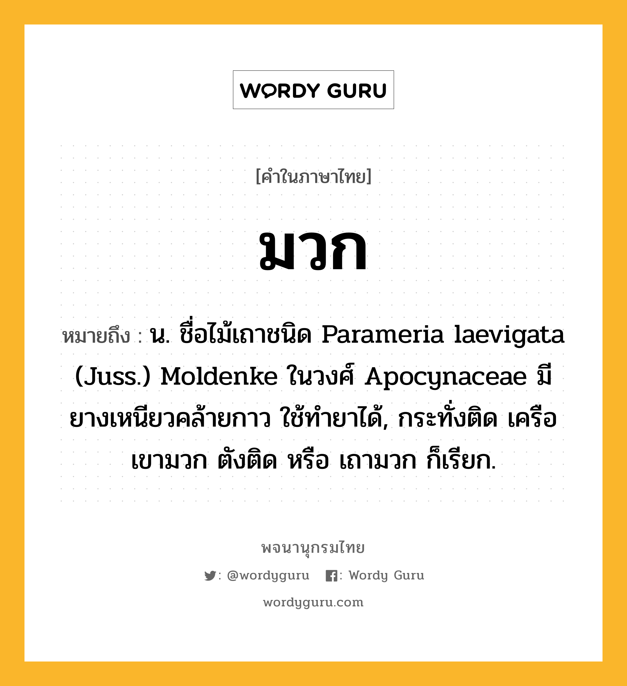 มวก ความหมาย หมายถึงอะไร?, คำในภาษาไทย มวก หมายถึง น. ชื่อไม้เถาชนิด Parameria laevigata (Juss.) Moldenke ในวงศ์ Apocynaceae มียางเหนียวคล้ายกาว ใช้ทํายาได้, กระทั่งติด เครือเขามวก ตังติด หรือ เถามวก ก็เรียก.