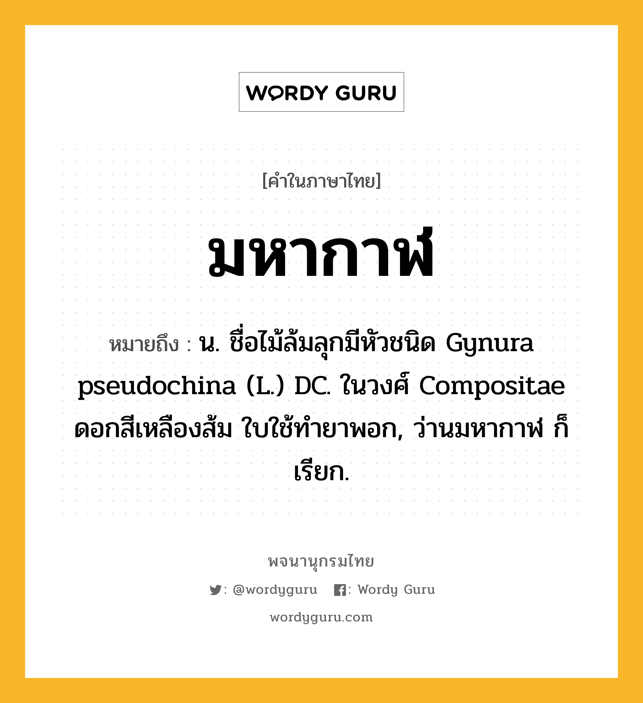 มหากาฬ ความหมาย หมายถึงอะไร?, คำในภาษาไทย มหากาฬ หมายถึง น. ชื่อไม้ล้มลุกมีหัวชนิด Gynura pseudochina (L.) DC. ในวงศ์ Compositae ดอกสีเหลืองส้ม ใบใช้ทํายาพอก, ว่านมหากาฬ ก็เรียก.