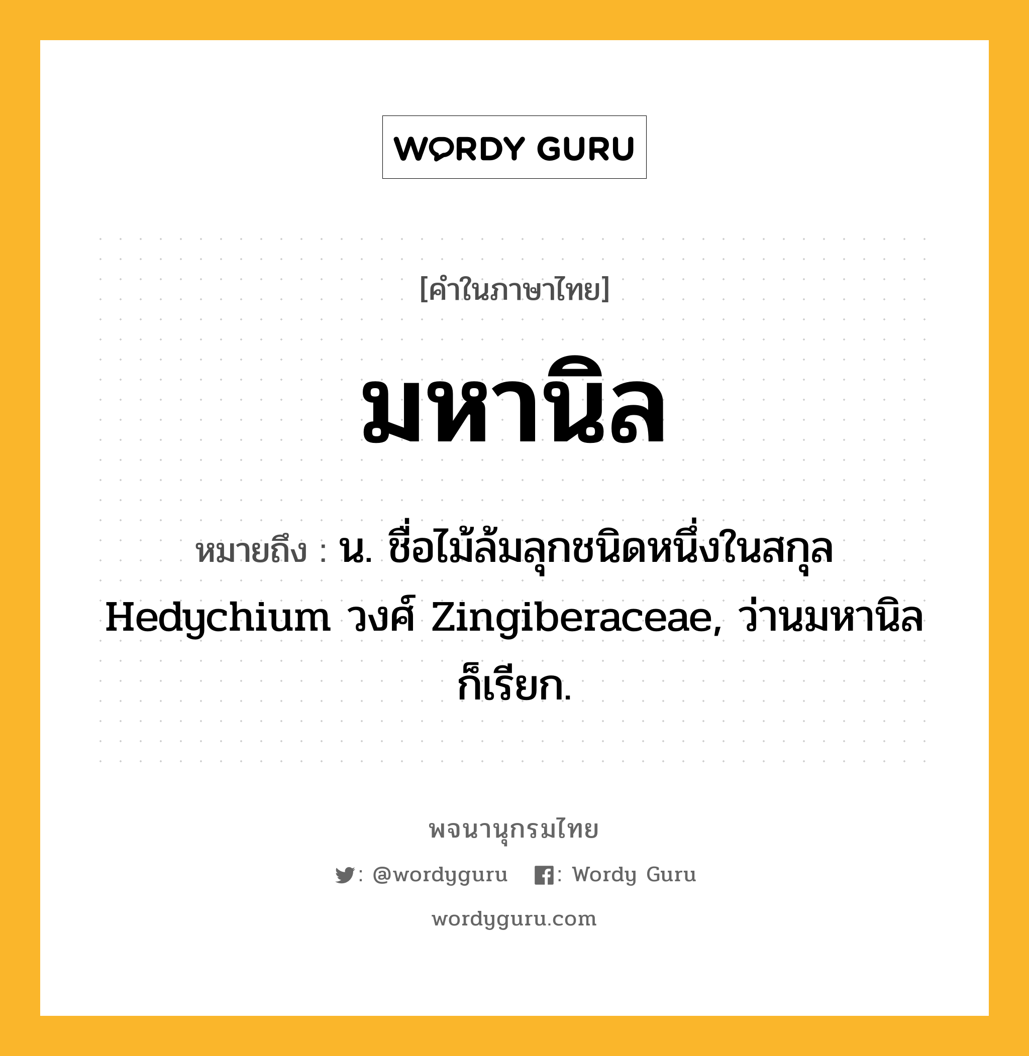 มหานิล ความหมาย หมายถึงอะไร?, คำในภาษาไทย มหานิล หมายถึง น. ชื่อไม้ล้มลุกชนิดหนึ่งในสกุล Hedychium วงศ์ Zingiberaceae, ว่านมหานิล ก็เรียก.