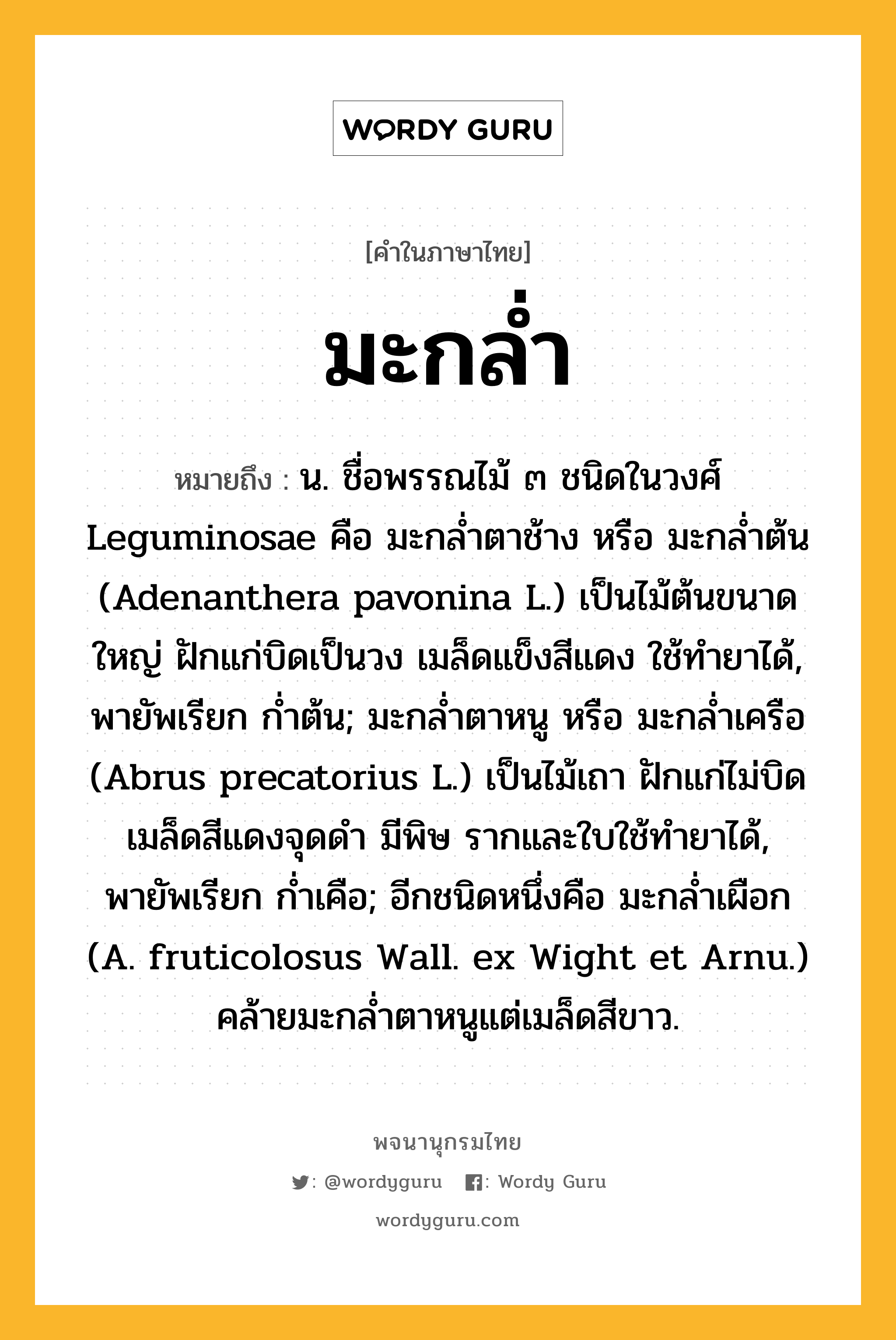 มะกล่ำ ความหมาย หมายถึงอะไร?, คำในภาษาไทย มะกล่ำ หมายถึง น. ชื่อพรรณไม้ ๓ ชนิดในวงศ์ Leguminosae คือ มะกลํ่าตาช้าง หรือ มะกลํ่าต้น (Adenanthera pavonina L.) เป็นไม้ต้นขนาดใหญ่ ฝักแก่บิดเป็นวง เมล็ดแข็งสีแดง ใช้ทํายาได้, พายัพเรียก กํ่าต้น; มะกลํ่าตาหนู หรือ มะกลํ่าเครือ (Abrus precatorius L.) เป็นไม้เถา ฝักแก่ไม่บิด เมล็ดสีแดงจุดดํา มีพิษ รากและใบใช้ทํายาได้, พายัพเรียก กํ่าเคือ; อีกชนิดหนึ่งคือ มะกล่ำเผือก (A. fruticolosus Wall. ex Wight et Arnu.) คล้ายมะกล่ำตาหนูแต่เมล็ดสีขาว.