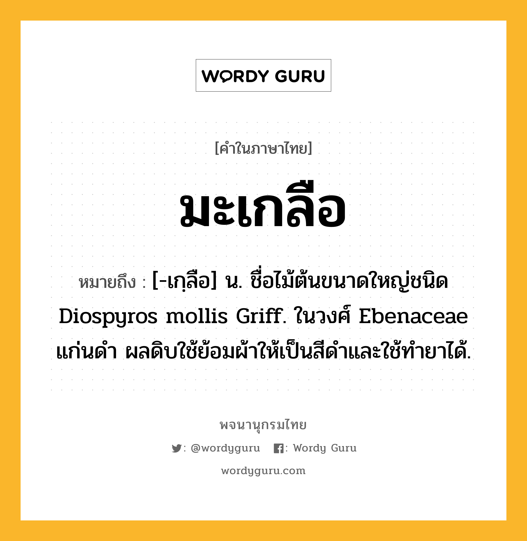 มะเกลือ ความหมาย หมายถึงอะไร?, คำในภาษาไทย มะเกลือ หมายถึง [-เกฺลือ] น. ชื่อไม้ต้นขนาดใหญ่ชนิด Diospyros mollis Griff. ในวงศ์ Ebenaceae แก่นดํา ผลดิบใช้ย้อมผ้าให้เป็นสีดําและใช้ทํายาได้.