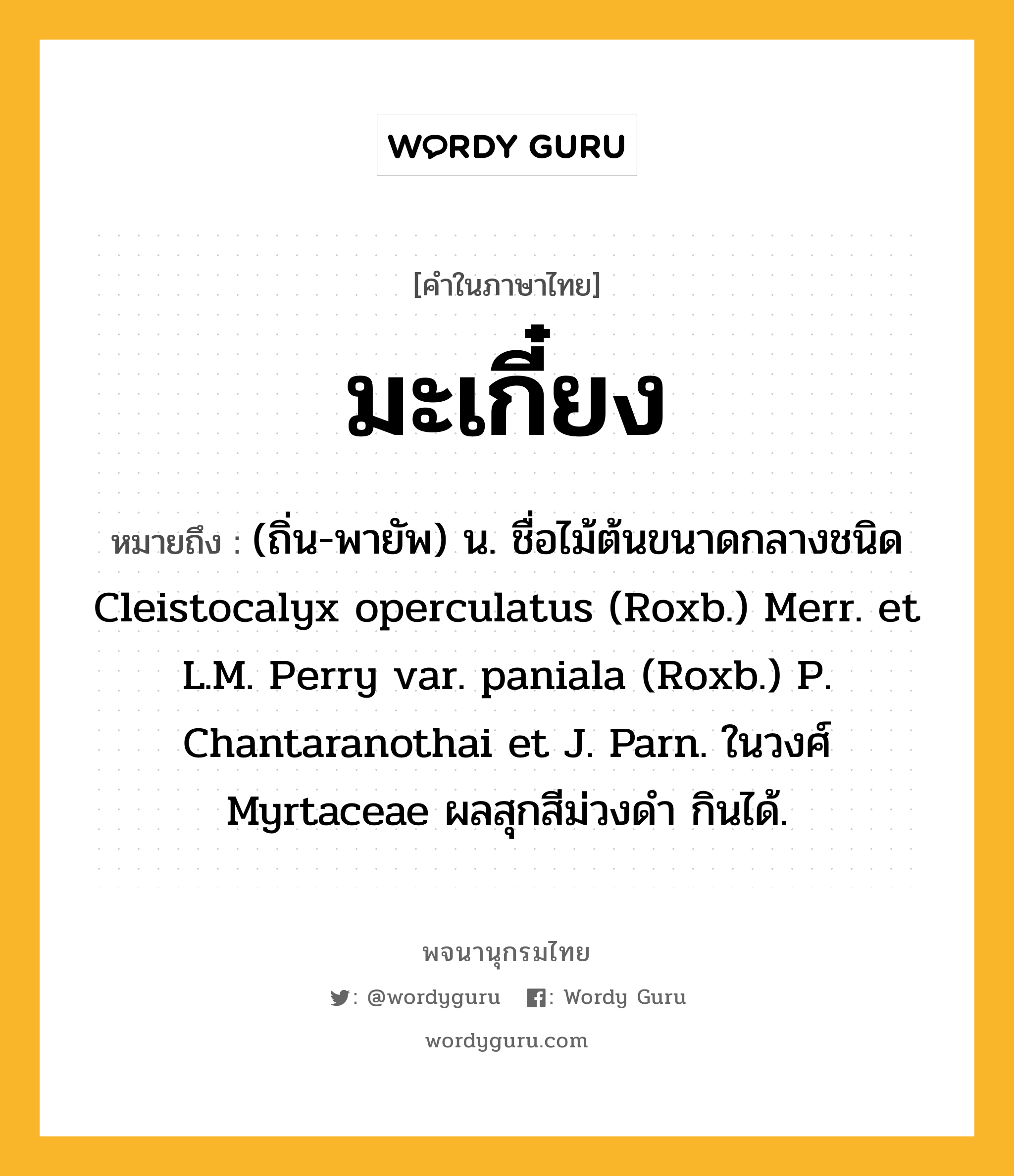 มะเกี๋ยง ความหมาย หมายถึงอะไร?, คำในภาษาไทย มะเกี๋ยง หมายถึง (ถิ่น-พายัพ) น. ชื่อไม้ต้นขนาดกลางชนิด Cleistocalyx operculatus (Roxb.) Merr. et L.M. Perry var. paniala (Roxb.) P. Chantaranothai et J. Parn. ในวงศ์ Myrtaceae ผลสุกสีม่วงดํา กินได้.