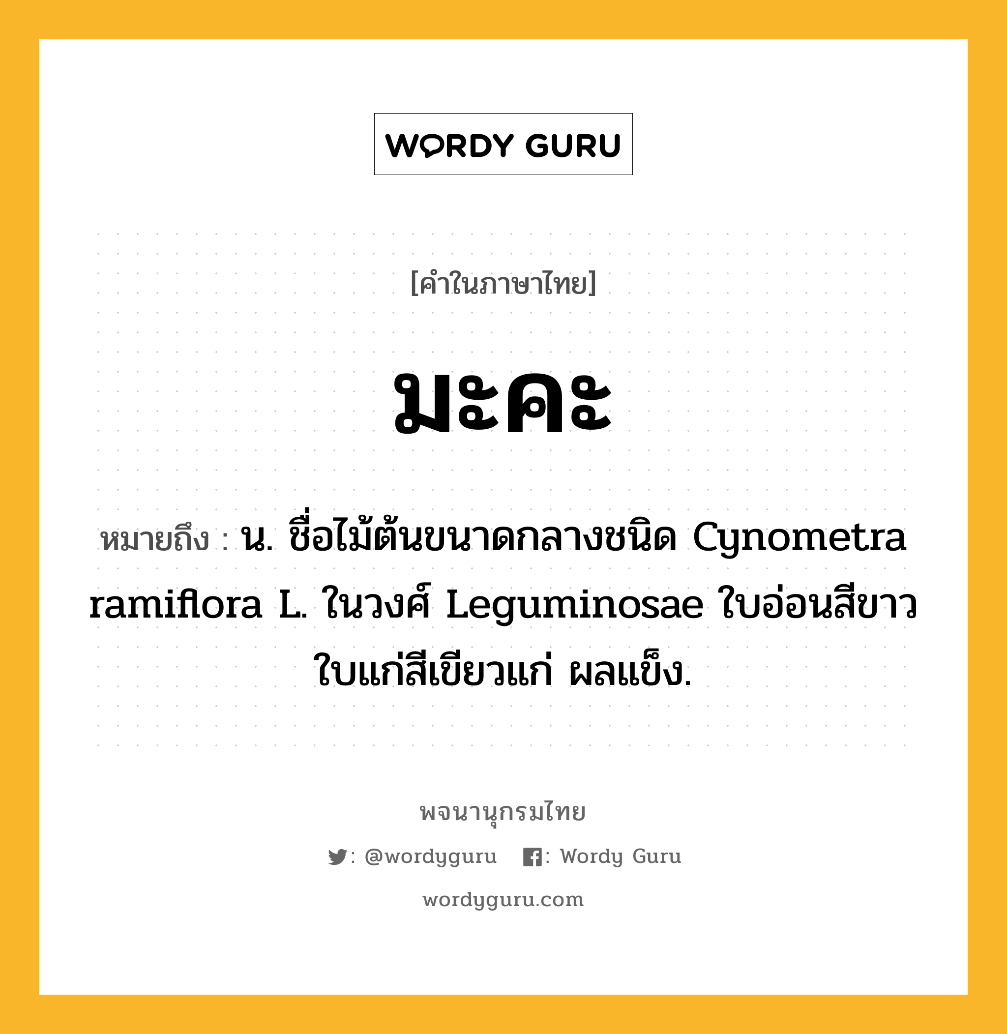 มะคะ ความหมาย หมายถึงอะไร?, คำในภาษาไทย มะคะ หมายถึง น. ชื่อไม้ต้นขนาดกลางชนิด Cynometra ramiflora L. ในวงศ์ Leguminosae ใบอ่อนสีขาว ใบแก่สีเขียวแก่ ผลแข็ง.