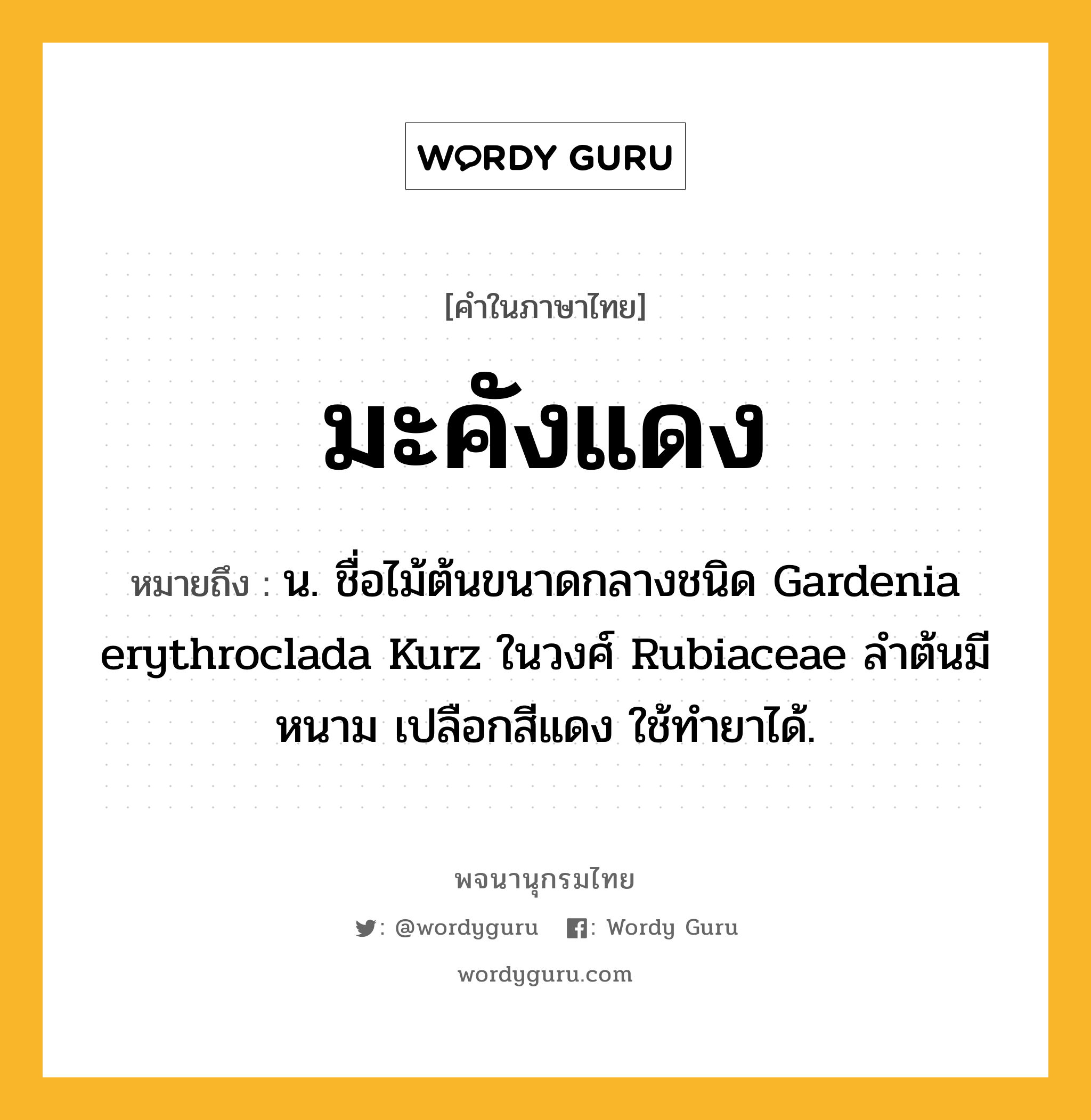 มะคังแดง ความหมาย หมายถึงอะไร?, คำในภาษาไทย มะคังแดง หมายถึง น. ชื่อไม้ต้นขนาดกลางชนิด Gardenia erythroclada Kurz ในวงศ์ Rubiaceae ลําต้นมีหนาม เปลือกสีแดง ใช้ทํายาได้.