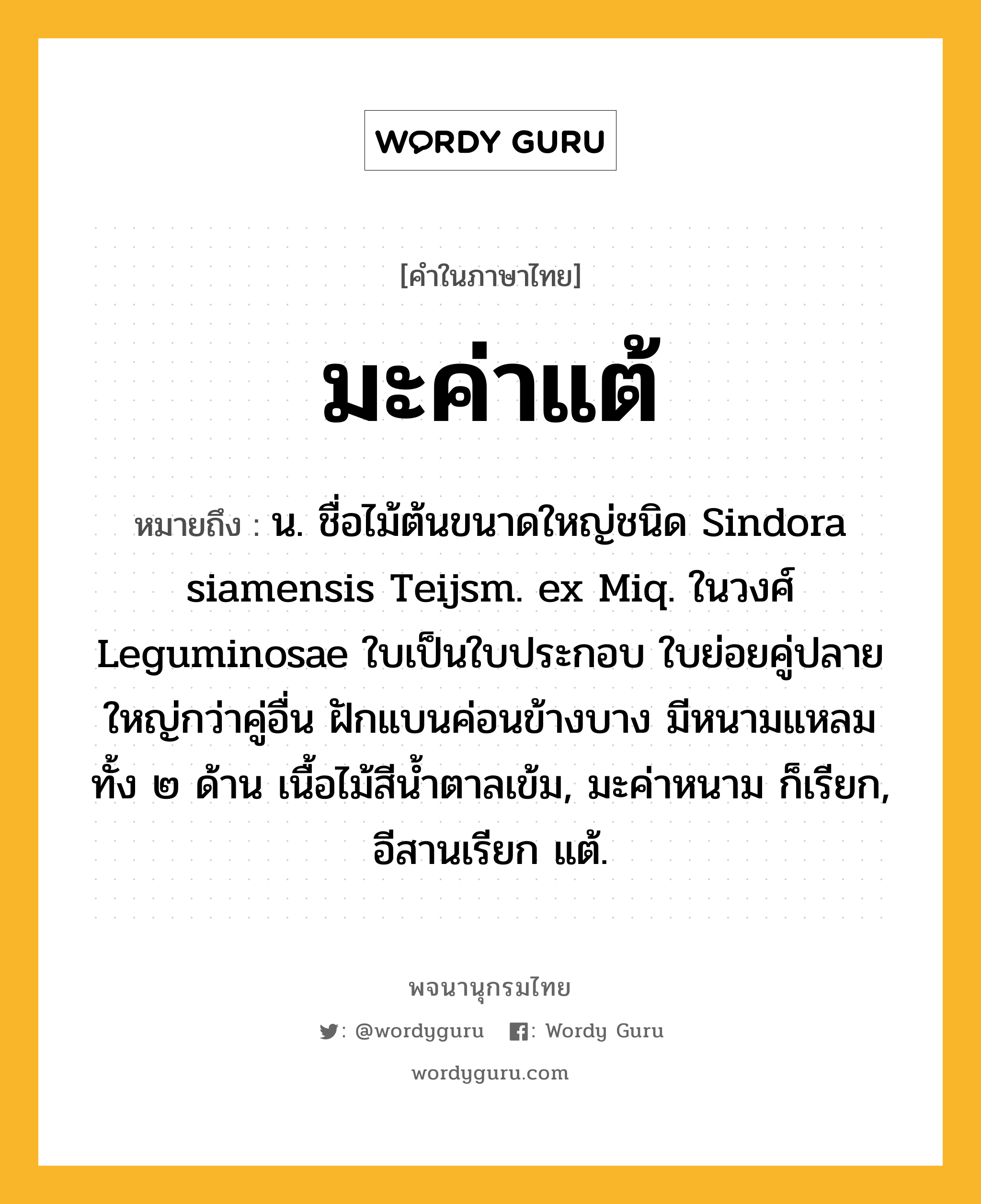 มะค่าแต้ ความหมาย หมายถึงอะไร?, คำในภาษาไทย มะค่าแต้ หมายถึง น. ชื่อไม้ต้นขนาดใหญ่ชนิด Sindora siamensis Teijsm. ex Miq. ในวงศ์ Leguminosae ใบเป็นใบประกอบ ใบย่อยคู่ปลายใหญ่กว่าคู่อื่น ฝักแบนค่อนข้างบาง มีหนามแหลมทั้ง ๒ ด้าน เนื้อไม้สีนํ้าตาลเข้ม, มะค่าหนาม ก็เรียก, อีสานเรียก แต้.