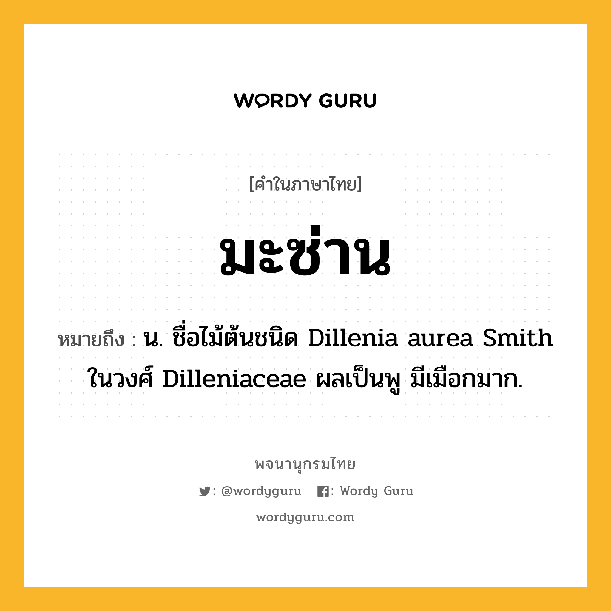 มะซ่าน ความหมาย หมายถึงอะไร?, คำในภาษาไทย มะซ่าน หมายถึง น. ชื่อไม้ต้นชนิด Dillenia aurea Smith ในวงศ์ Dilleniaceae ผลเป็นพู มีเมือกมาก.