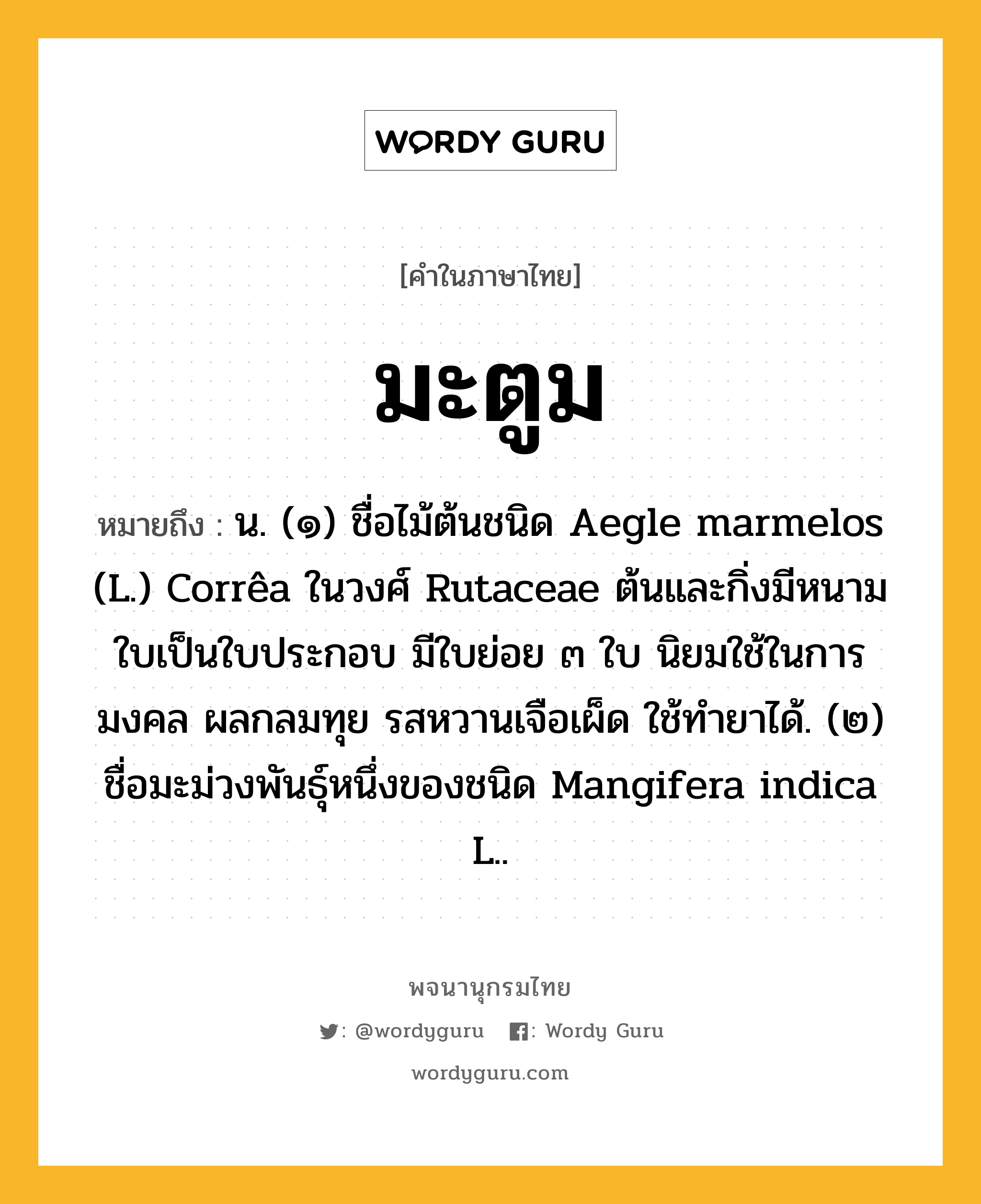 มะตูม ความหมาย หมายถึงอะไร?, คำในภาษาไทย มะตูม หมายถึง น. (๑) ชื่อไม้ต้นชนิด Aegle marmelos (L.) Corrêa ในวงศ์ Rutaceae ต้นและกิ่งมีหนาม ใบเป็นใบประกอบ มีใบย่อย ๓ ใบ นิยมใช้ในการมงคล ผลกลมทุย รสหวานเจือเผ็ด ใช้ทํายาได้. (๒) ชื่อมะม่วงพันธุ์หนึ่งของชนิด Mangifera indica L..