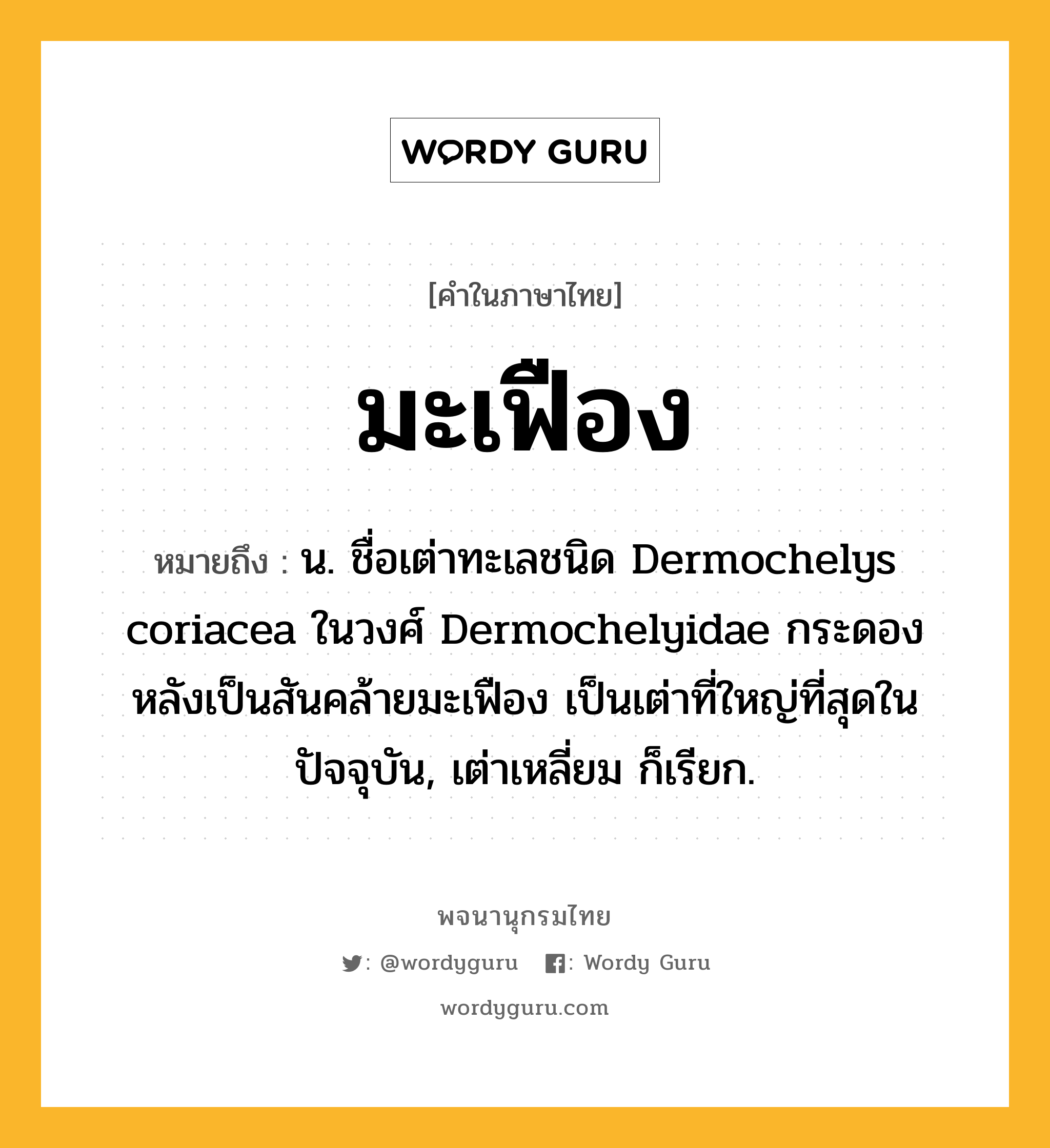 มะเฟือง ความหมาย หมายถึงอะไร?, คำในภาษาไทย มะเฟือง หมายถึง น. ชื่อเต่าทะเลชนิด Dermochelys coriacea ในวงศ์ Dermochelyidae กระดองหลังเป็นสันคล้ายมะเฟือง เป็นเต่าที่ใหญ่ที่สุดในปัจจุบัน, เต่าเหลี่ยม ก็เรียก.