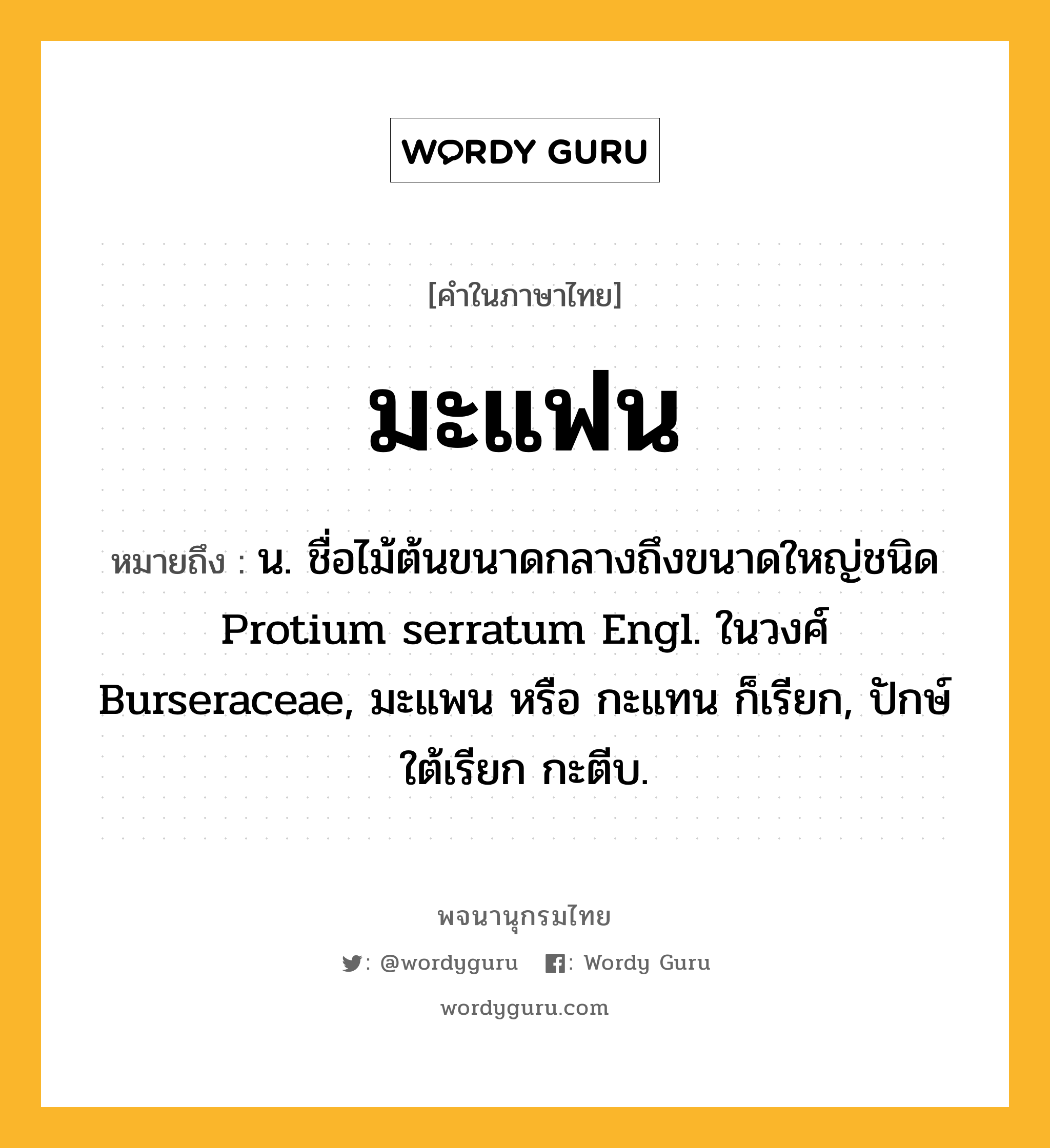 มะแฟน ความหมาย หมายถึงอะไร?, คำในภาษาไทย มะแฟน หมายถึง น. ชื่อไม้ต้นขนาดกลางถึงขนาดใหญ่ชนิด Protium serratum Engl. ในวงศ์ Burseraceae, มะแพน หรือ กะแทน ก็เรียก, ปักษ์ใต้เรียก กะตีบ.