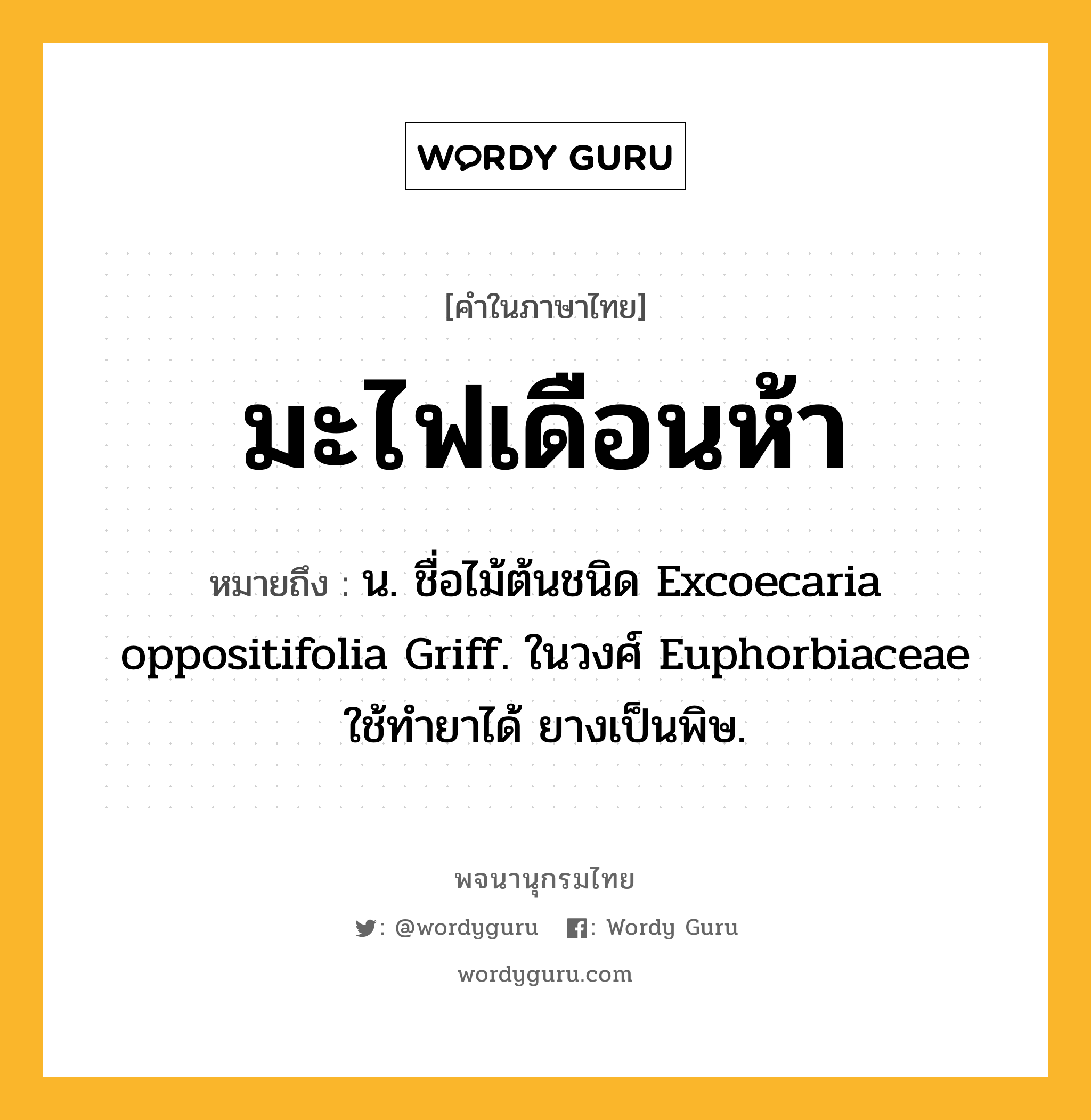 มะไฟเดือนห้า ความหมาย หมายถึงอะไร?, คำในภาษาไทย มะไฟเดือนห้า หมายถึง น. ชื่อไม้ต้นชนิด Excoecaria oppositifolia Griff. ในวงศ์ Euphorbiaceae ใช้ทํายาได้ ยางเป็นพิษ.