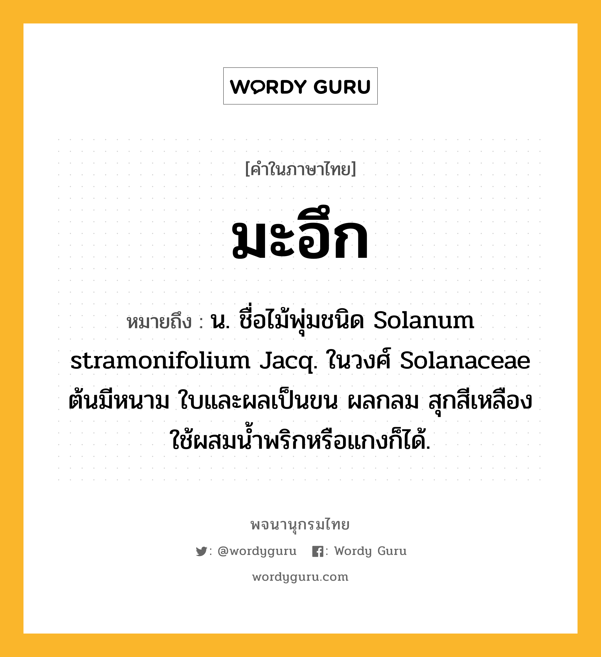 มะอึก ความหมาย หมายถึงอะไร?, คำในภาษาไทย มะอึก หมายถึง น. ชื่อไม้พุ่มชนิด Solanum stramonifolium Jacq. ในวงศ์ Solanaceae ต้นมีหนาม ใบและผลเป็นขน ผลกลม สุกสีเหลือง ใช้ผสมนํ้าพริกหรือแกงก็ได้.