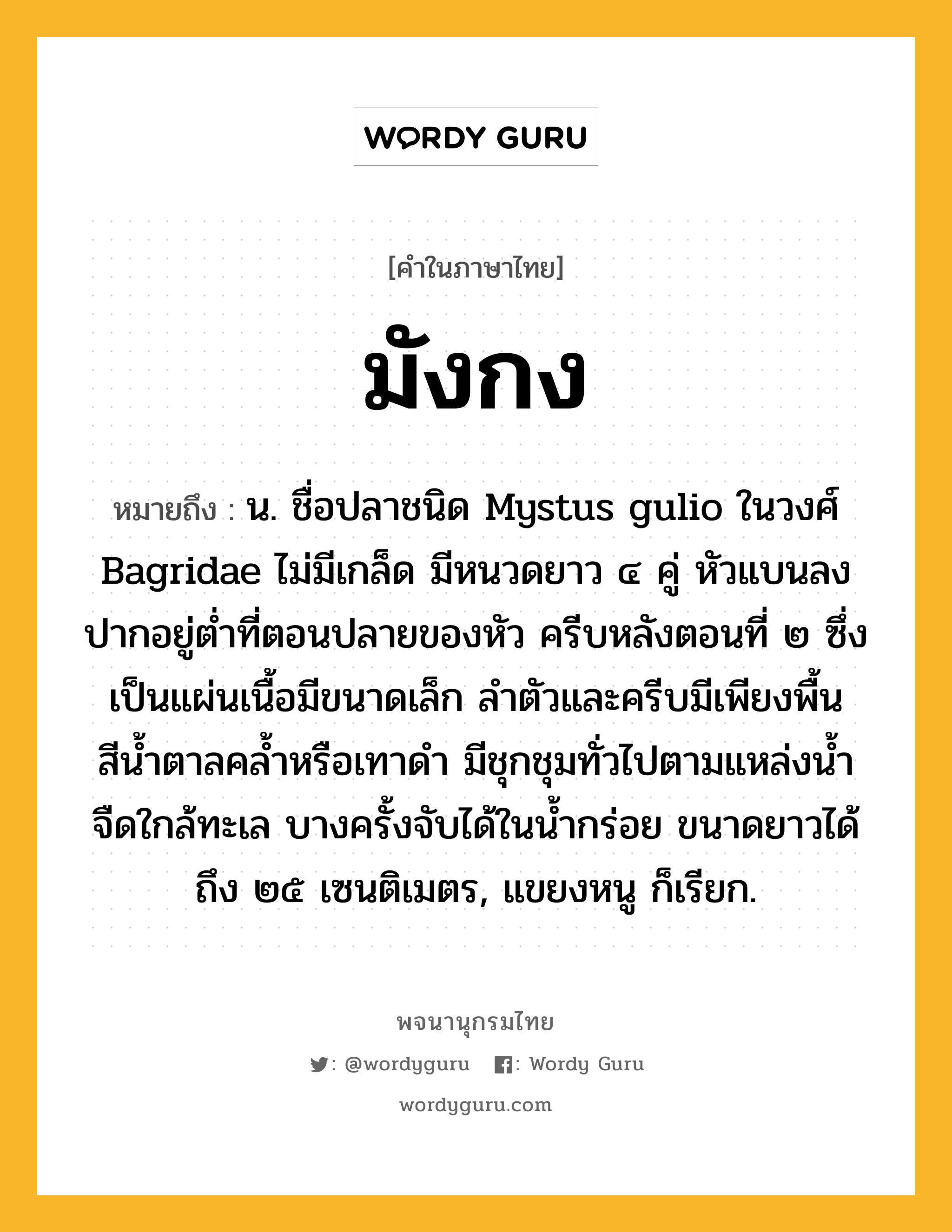 มังกง ความหมาย หมายถึงอะไร?, คำในภาษาไทย มังกง หมายถึง น. ชื่อปลาชนิด Mystus gulio ในวงศ์ Bagridae ไม่มีเกล็ด มีหนวดยาว ๔ คู่ หัวแบนลง ปากอยู่ตํ่าที่ตอนปลายของหัว ครีบหลังตอนที่ ๒ ซึ่งเป็นแผ่นเนื้อมีขนาดเล็ก ลําตัวและครีบมีเพียงพื้นสีนํ้าตาลคลํ้าหรือเทาดํา มีชุกชุมทั่วไปตามแหล่งนํ้าจืดใกล้ทะเล บางครั้งจับได้ในนํ้ากร่อย ขนาดยาวได้ถึง ๒๕ เซนติเมตร, แขยงหนู ก็เรียก.