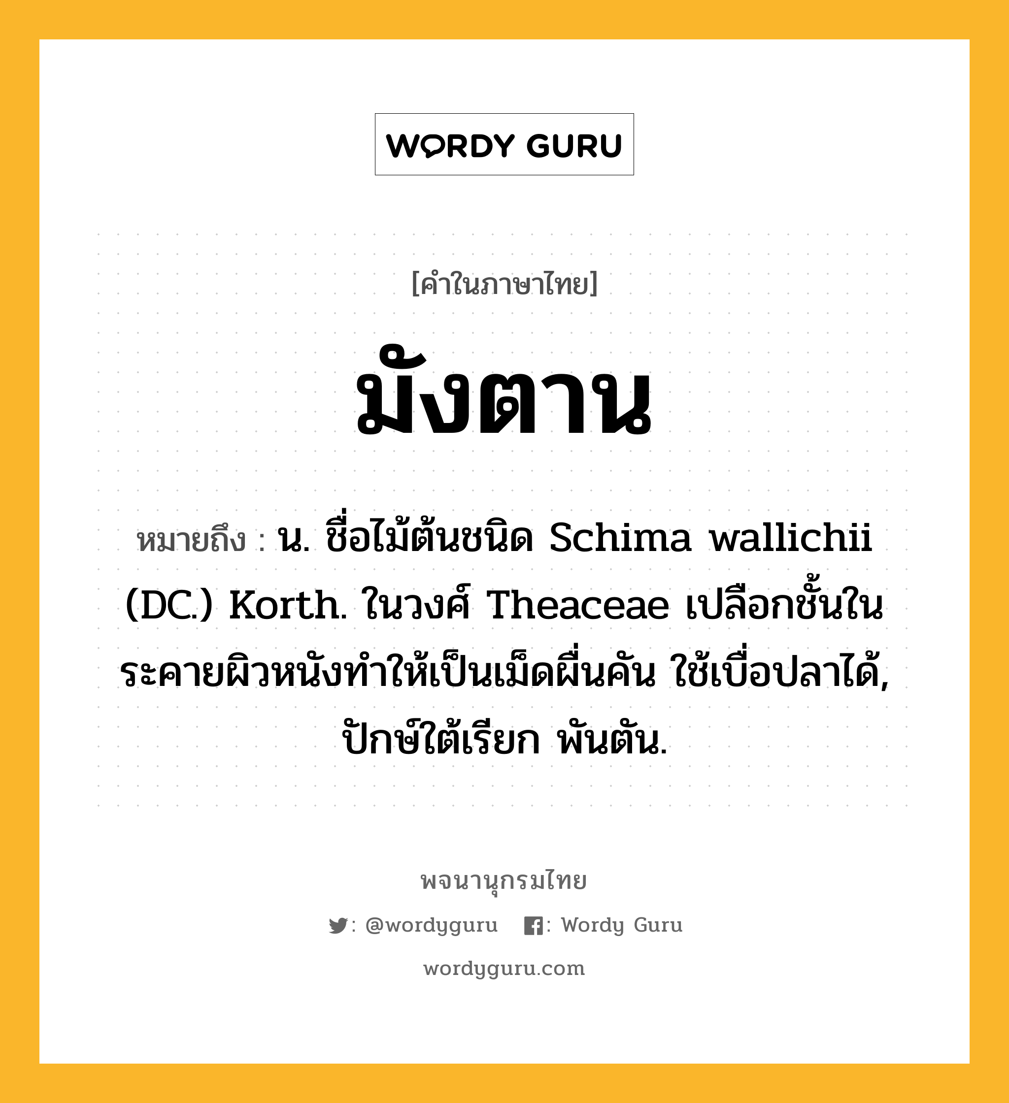 มังตาน ความหมาย หมายถึงอะไร?, คำในภาษาไทย มังตาน หมายถึง น. ชื่อไม้ต้นชนิด Schima wallichii (DC.) Korth. ในวงศ์ Theaceae เปลือกชั้นในระคายผิวหนังทําให้เป็นเม็ดผื่นคัน ใช้เบื่อปลาได้, ปักษ์ใต้เรียก พันตัน.