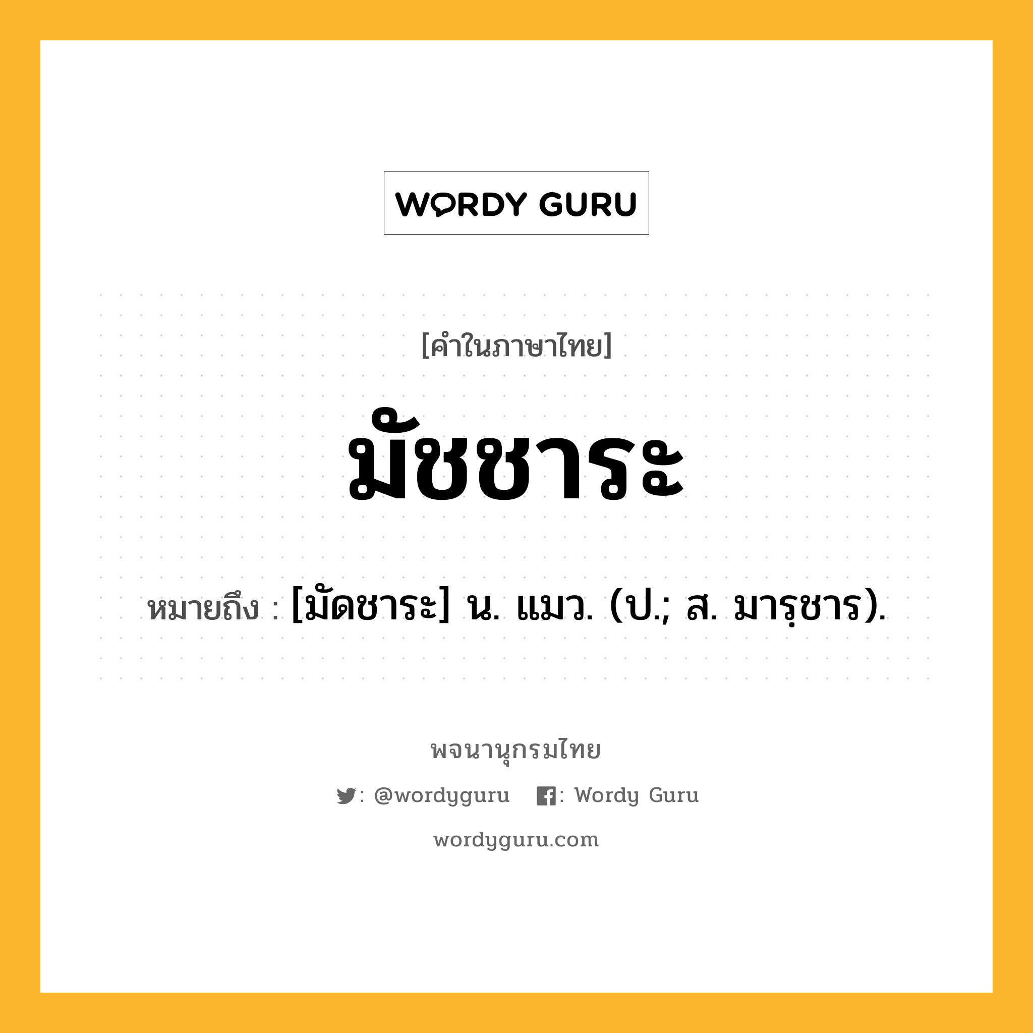 มัชชาระ ความหมาย หมายถึงอะไร?, คำในภาษาไทย มัชชาระ หมายถึง [มัดชาระ] น. แมว. (ป.; ส. มารฺชาร).