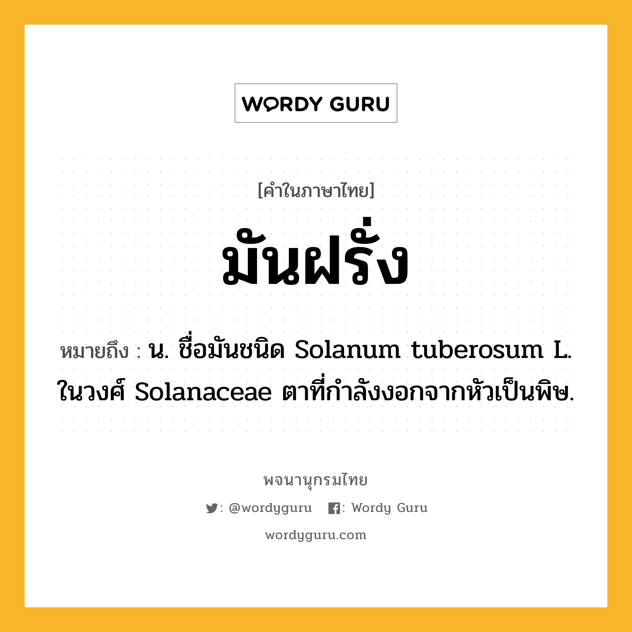 มันฝรั่ง ความหมาย หมายถึงอะไร?, คำในภาษาไทย มันฝรั่ง หมายถึง น. ชื่อมันชนิด Solanum tuberosum L. ในวงศ์ Solanaceae ตาที่กําลังงอกจากหัวเป็นพิษ.