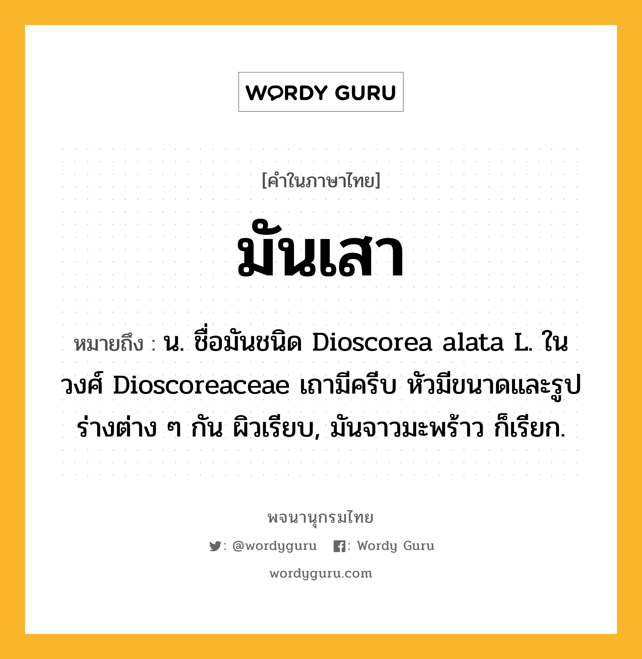 มันเสา ความหมาย หมายถึงอะไร?, คำในภาษาไทย มันเสา หมายถึง น. ชื่อมันชนิด Dioscorea alata L. ในวงศ์ Dioscoreaceae เถามีครีบ หัวมีขนาดและรูปร่างต่าง ๆ กัน ผิวเรียบ, มันจาวมะพร้าว ก็เรียก.