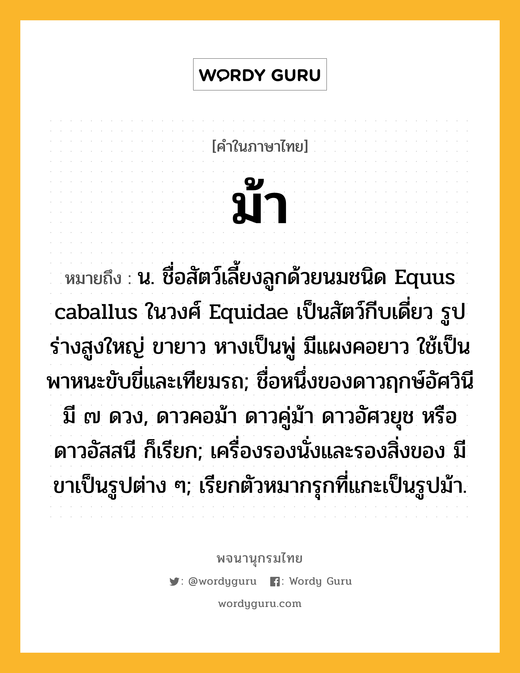 ม้า ความหมาย หมายถึงอะไร?, คำในภาษาไทย ม้า หมายถึง น. ชื่อสัตว์เลี้ยงลูกด้วยนมชนิด Equus caballus ในวงศ์ Equidae เป็นสัตว์กีบเดี่ยว รูปร่างสูงใหญ่ ขายาว หางเป็นพู่ มีแผงคอยาว ใช้เป็นพาหนะขับขี่และเทียมรถ; ชื่อหนึ่งของดาวฤกษ์อัศวินี มี ๗ ดวง, ดาวคอม้า ดาวคู่ม้า ดาวอัศวยุช หรือ ดาวอัสสนี ก็เรียก; เครื่องรองนั่งและรองสิ่งของ มีขาเป็นรูปต่าง ๆ; เรียกตัวหมากรุกที่แกะเป็นรูปม้า.