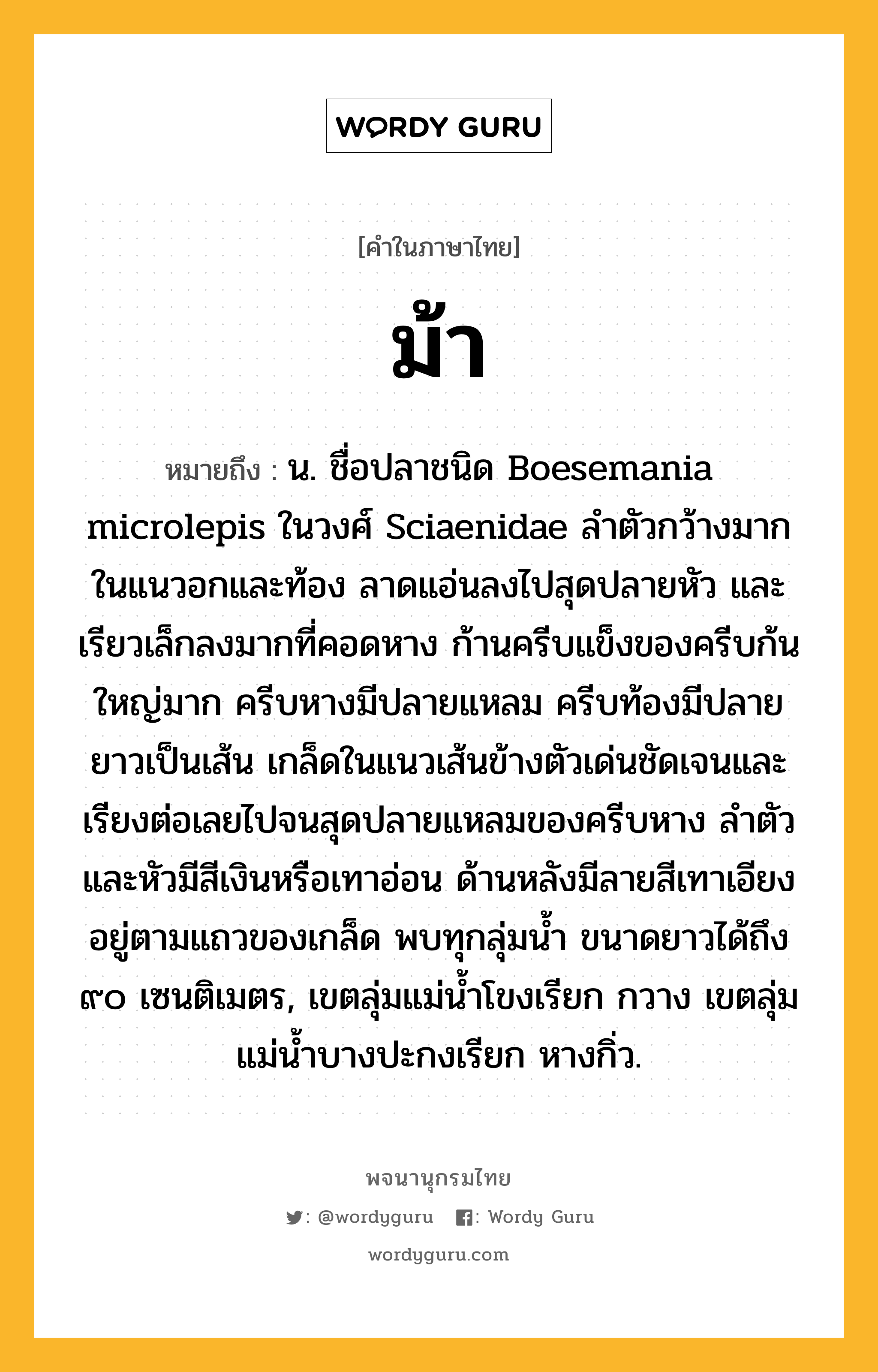 ม้า ความหมาย หมายถึงอะไร?, คำในภาษาไทย ม้า หมายถึง น. ชื่อปลาชนิด Boesemania microlepis ในวงศ์ Sciaenidae ลําตัวกว้างมากในแนวอกและท้อง ลาดแอ่นลงไปสุดปลายหัว และเรียวเล็กลงมากที่คอดหาง ก้านครีบแข็งของครีบก้นใหญ่มาก ครีบหางมีปลายแหลม ครีบท้องมีปลายยาวเป็นเส้น เกล็ดในแนวเส้นข้างตัวเด่นชัดเจนและเรียงต่อเลยไปจนสุดปลายแหลมของครีบหาง ลําตัวและหัวมีสีเงินหรือเทาอ่อน ด้านหลังมีลายสีเทาเอียงอยู่ตามแถวของเกล็ด พบทุกลุ่มนํ้า ขนาดยาวได้ถึง ๙๐ เซนติเมตร, เขตลุ่มแม่นํ้าโขงเรียก กวาง เขตลุ่มแม่นํ้าบางปะกงเรียก หางกิ่ว.