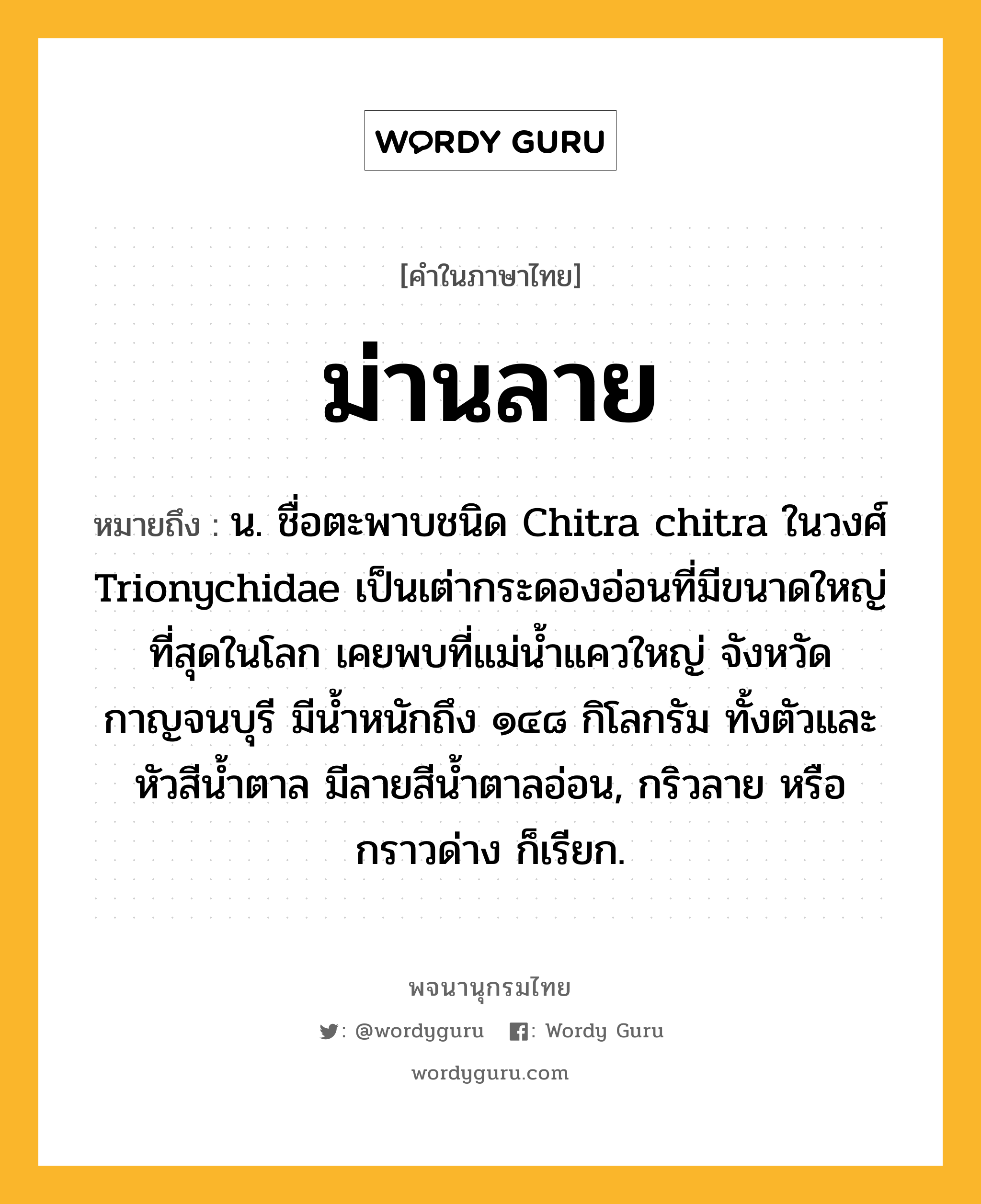 ม่านลาย ความหมาย หมายถึงอะไร?, คำในภาษาไทย ม่านลาย หมายถึง น. ชื่อตะพาบชนิด Chitra chitra ในวงศ์ Trionychidae เป็นเต่ากระดองอ่อนที่มีขนาดใหญ่ที่สุดในโลก เคยพบที่แม่นํ้าแควใหญ่ จังหวัดกาญจนบุรี มีนํ้าหนักถึง ๑๔๘ กิโลกรัม ทั้งตัวและหัวสีนํ้าตาล มีลายสีนํ้าตาลอ่อน, กริวลาย หรือ กราวด่าง ก็เรียก.