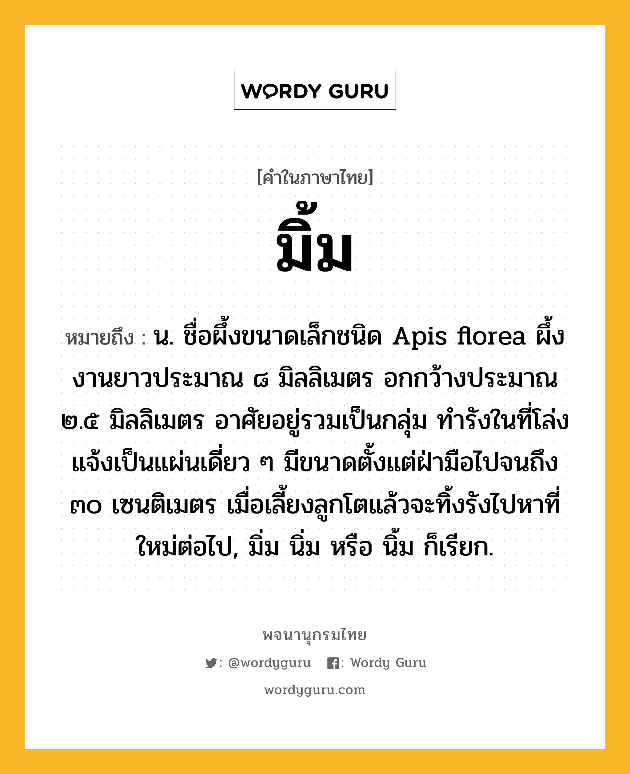 มิ้ม ความหมาย หมายถึงอะไร?, คำในภาษาไทย มิ้ม หมายถึง น. ชื่อผึ้งขนาดเล็กชนิด Apis florea ผึ้งงานยาวประมาณ ๘ มิลลิเมตร อกกว้างประมาณ ๒.๕ มิลลิเมตร อาศัยอยู่รวมเป็นกลุ่ม ทํารังในที่โล่งแจ้งเป็นแผ่นเดี่ยว ๆ มีขนาดตั้งแต่ฝ่ามือไปจนถึง ๓๐ เซนติเมตร เมื่อเลี้ยงลูกโตแล้วจะทิ้งรังไปหาที่ใหม่ต่อไป, มิ่ม นิ่ม หรือ นิ้ม ก็เรียก.