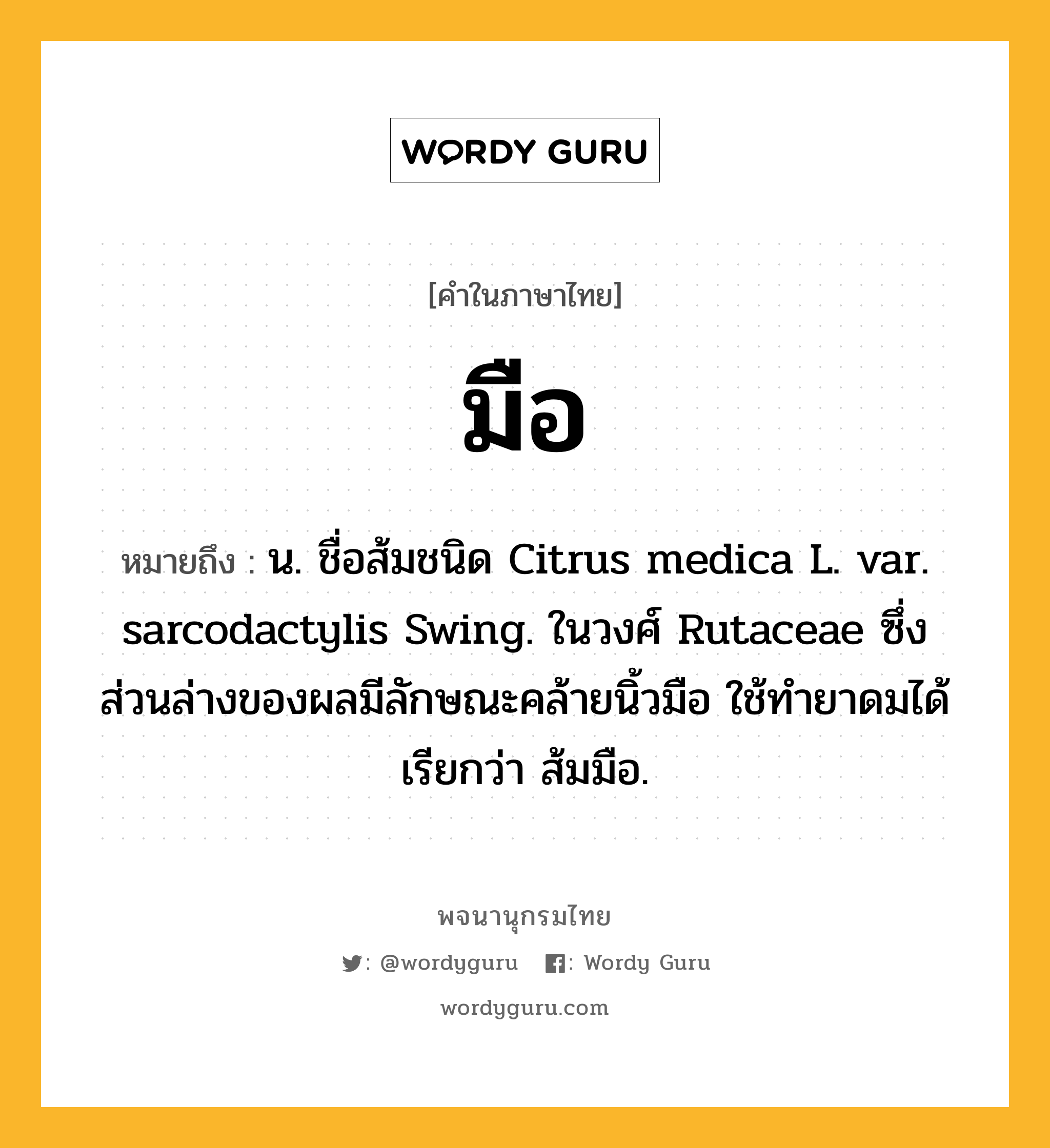 มือ ความหมาย หมายถึงอะไร?, คำในภาษาไทย มือ หมายถึง น. ชื่อส้มชนิด Citrus medica L. var. sarcodactylis Swing. ในวงศ์ Rutaceae ซึ่งส่วนล่างของผลมีลักษณะคล้ายนิ้วมือ ใช้ทํายาดมได้ เรียกว่า ส้มมือ.