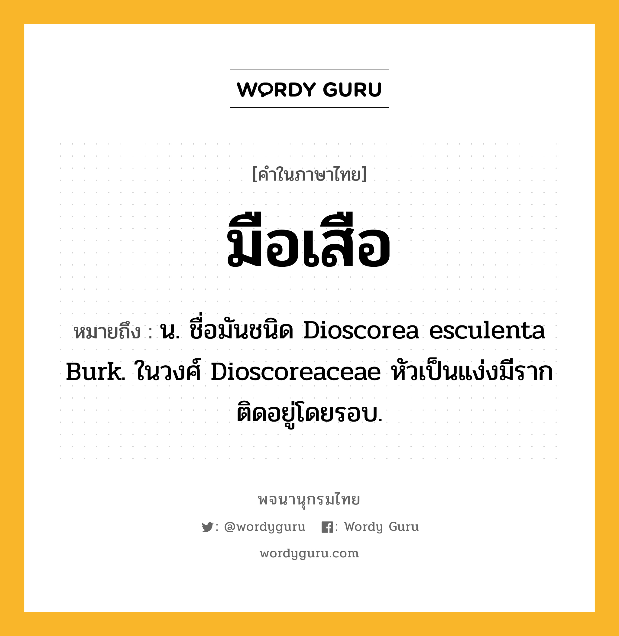 มือเสือ ความหมาย หมายถึงอะไร?, คำในภาษาไทย มือเสือ หมายถึง น. ชื่อมันชนิด Dioscorea esculenta Burk. ในวงศ์ Dioscoreaceae หัวเป็นแง่งมีรากติดอยู่โดยรอบ.