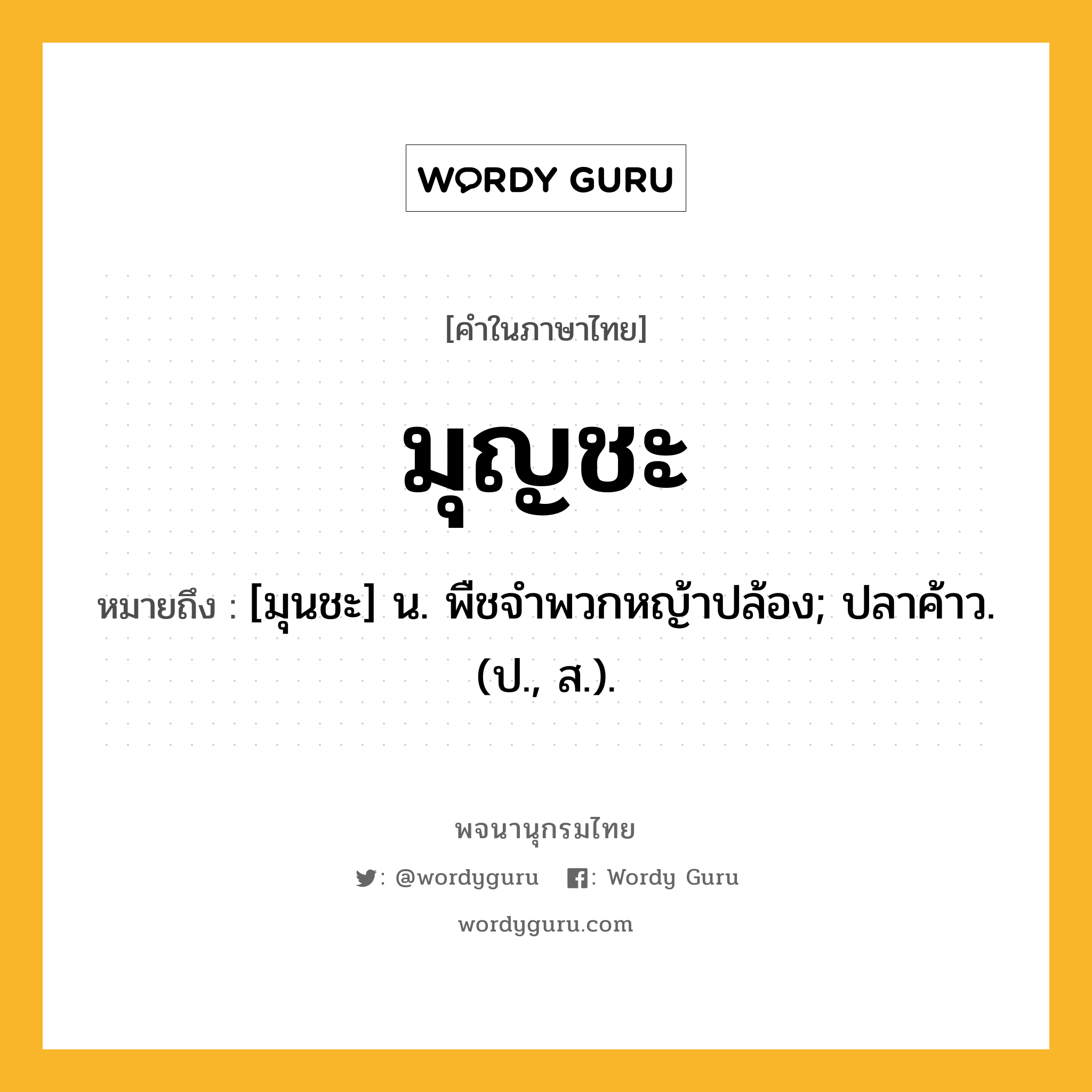 มุญชะ ความหมาย หมายถึงอะไร?, คำในภาษาไทย มุญชะ หมายถึง [มุนชะ] น. พืชจําพวกหญ้าปล้อง; ปลาค้าว. (ป., ส.).