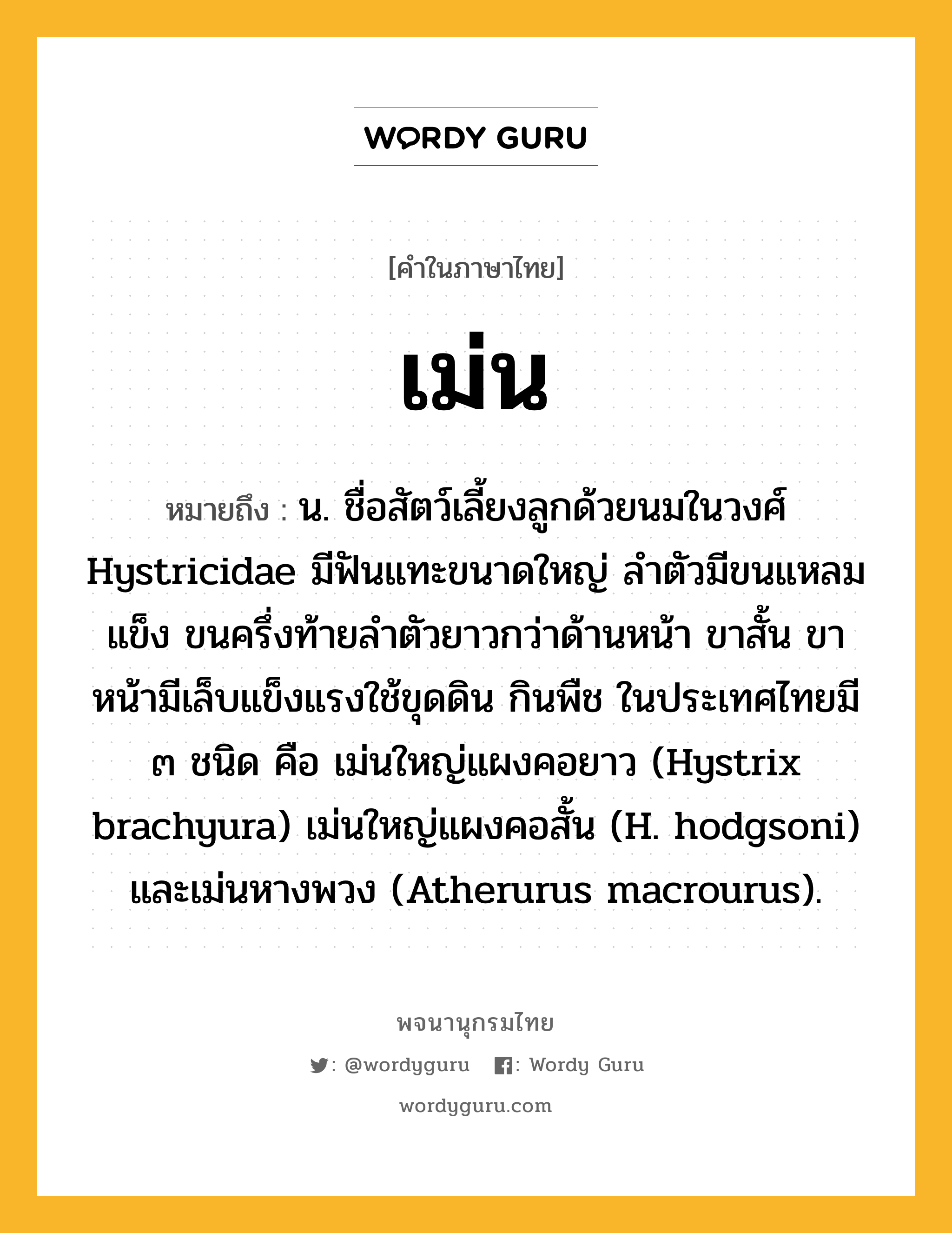 เม่น ความหมาย หมายถึงอะไร?, คำในภาษาไทย เม่น หมายถึง น. ชื่อสัตว์เลี้ยงลูกด้วยนมในวงศ์ Hystricidae มีฟันแทะขนาดใหญ่ ลําตัวมีขนแหลมแข็ง ขนครึ่งท้ายลำตัวยาวกว่าด้านหน้า ขาสั้น ขาหน้ามีเล็บแข็งแรงใช้ขุดดิน กินพืช ในประเทศไทยมี ๓ ชนิด คือ เม่นใหญ่แผงคอยาว (Hystrix brachyura) เม่นใหญ่แผงคอสั้น (H. hodgsoni) และเม่นหางพวง (Atherurus macrourus).