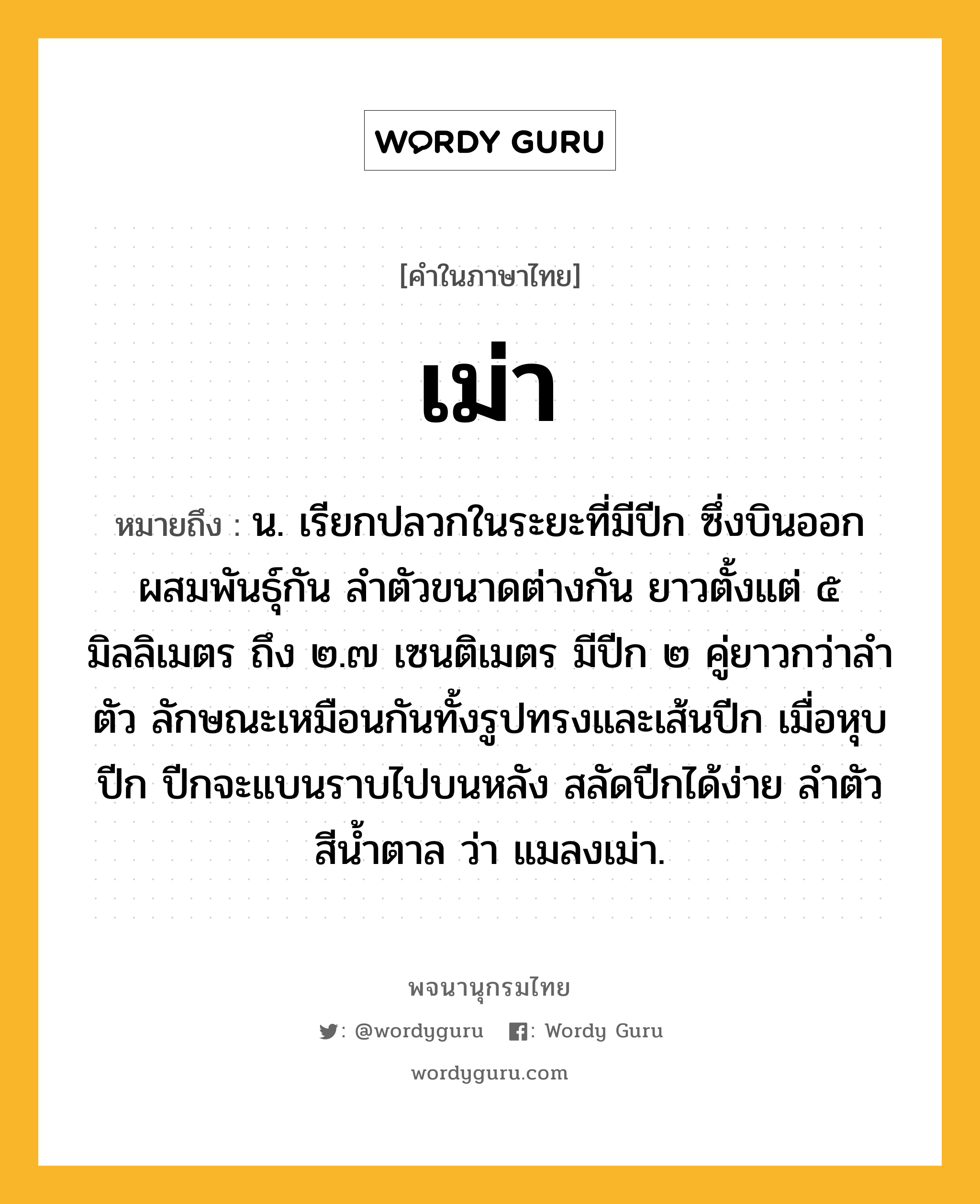 เม่า ความหมาย หมายถึงอะไร?, คำในภาษาไทย เม่า หมายถึง น. เรียกปลวกในระยะที่มีปีก ซึ่งบินออกผสมพันธุ์กัน ลําตัวขนาดต่างกัน ยาวตั้งแต่ ๕ มิลลิเมตร ถึง ๒.๗ เซนติเมตร มีปีก ๒ คู่ยาวกว่าลําตัว ลักษณะเหมือนกันทั้งรูปทรงและเส้นปีก เมื่อหุบปีก ปีกจะแบนราบไปบนหลัง สลัดปีกได้ง่าย ลําตัวสีนํ้าตาล ว่า แมลงเม่า.