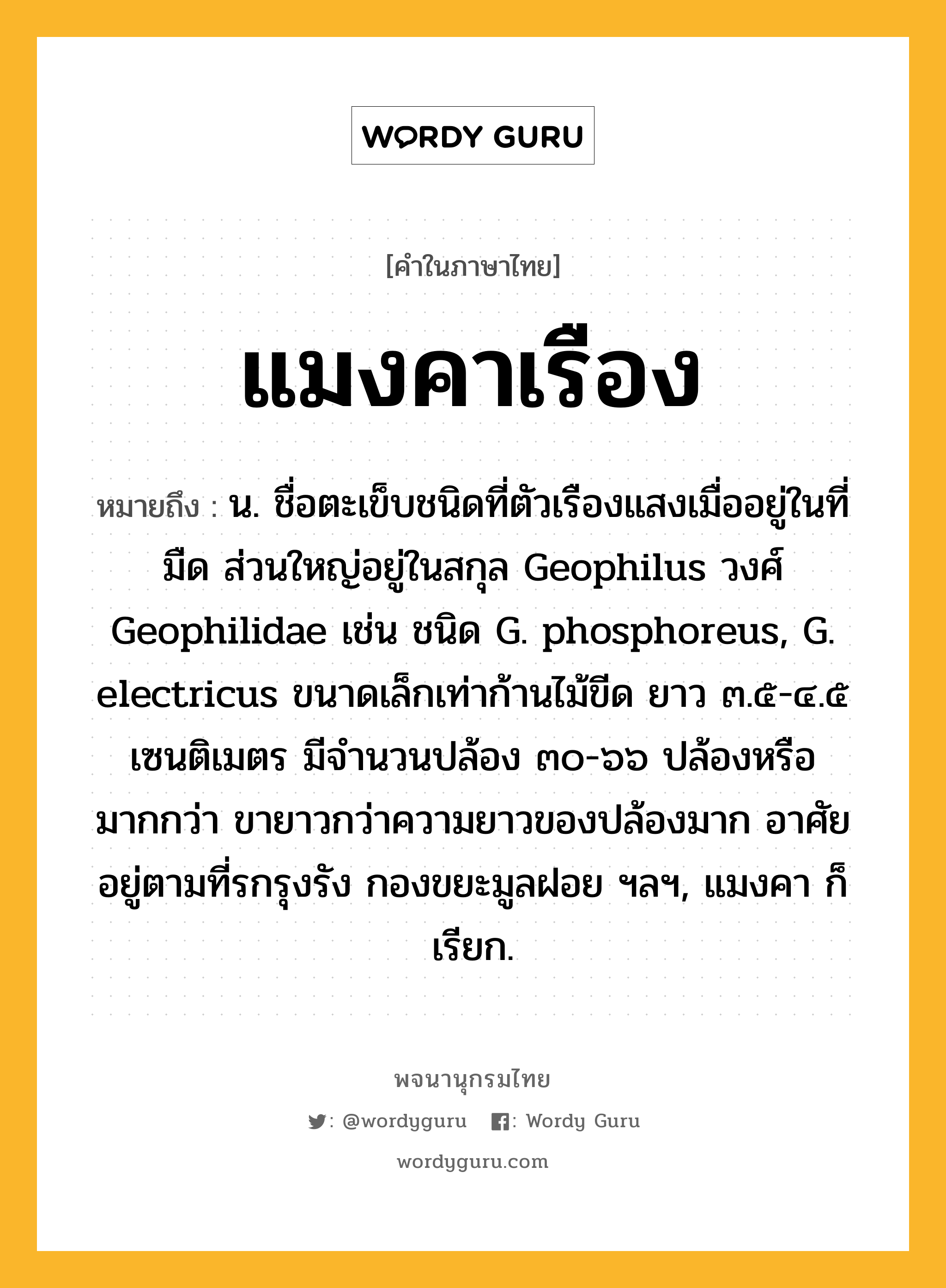 แมงคาเรือง ความหมาย หมายถึงอะไร?, คำในภาษาไทย แมงคาเรือง หมายถึง น. ชื่อตะเข็บชนิดที่ตัวเรืองแสงเมื่ออยู่ในที่มืด ส่วนใหญ่อยู่ในสกุล Geophilus วงศ์ Geophilidae เช่น ชนิด G. phosphoreus, G. electricus ขนาดเล็กเท่าก้านไม้ขีด ยาว ๓.๕-๔.๕ เซนติเมตร มีจํานวนปล้อง ๓๐-๖๖ ปล้องหรือมากกว่า ขายาวกว่าความยาวของปล้องมาก อาศัยอยู่ตามที่รกรุงรัง กองขยะมูลฝอย ฯลฯ, แมงคา ก็เรียก.