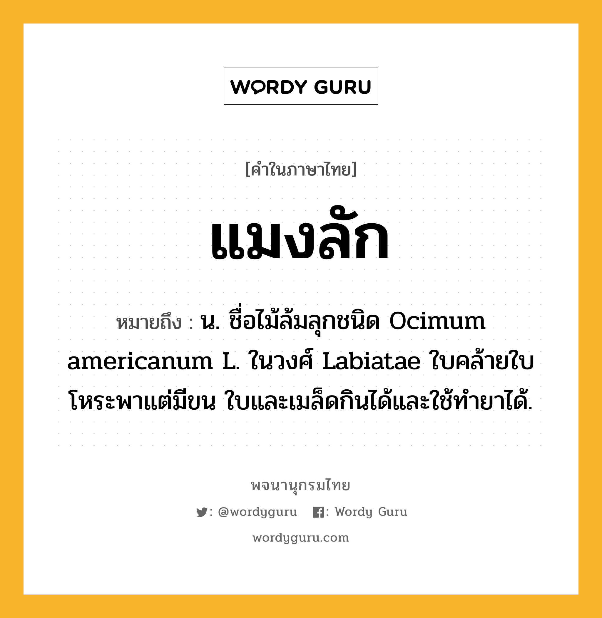 แมงลัก ความหมาย หมายถึงอะไร?, คำในภาษาไทย แมงลัก หมายถึง น. ชื่อไม้ล้มลุกชนิด Ocimum americanum L. ในวงศ์ Labiatae ใบคล้ายใบโหระพาแต่มีขน ใบและเมล็ดกินได้และใช้ทํายาได้.