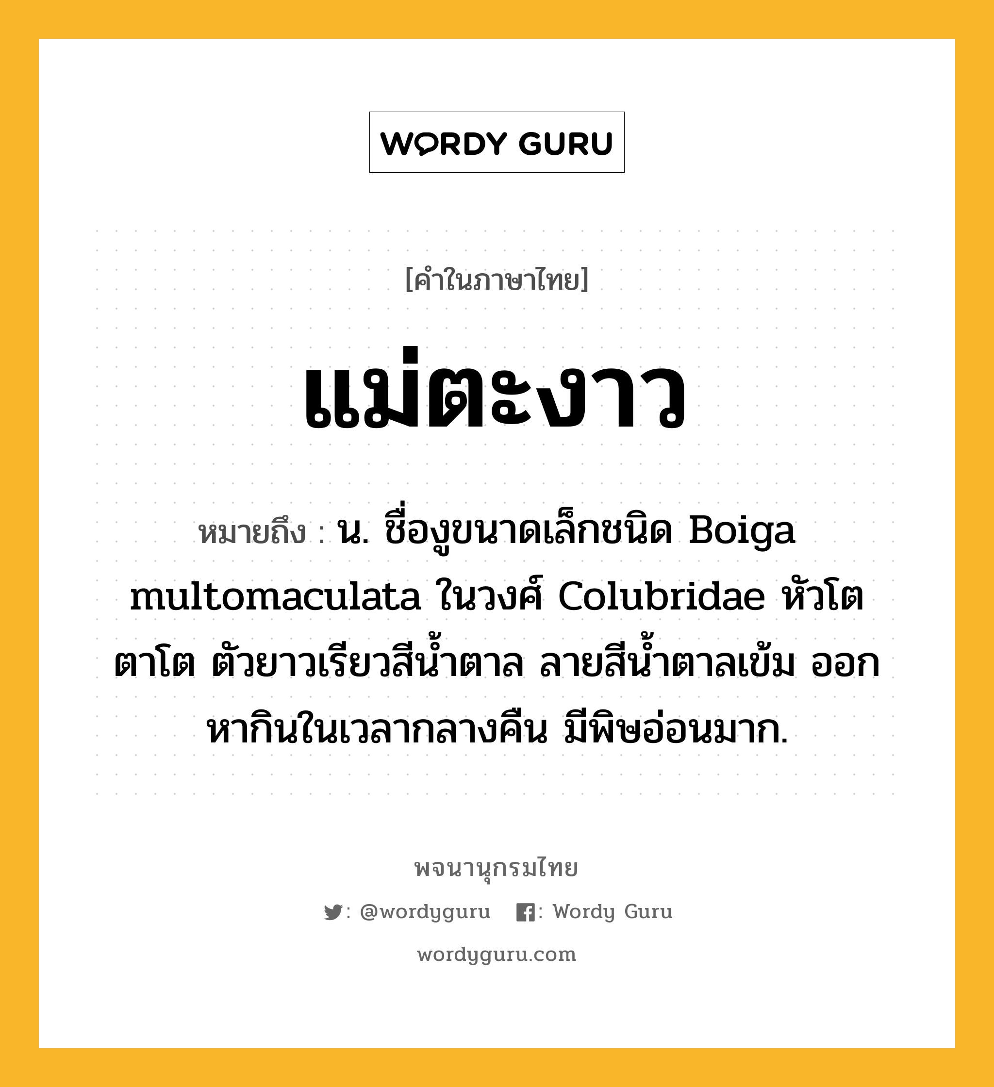 แม่ตะงาว ความหมาย หมายถึงอะไร?, คำในภาษาไทย แม่ตะงาว หมายถึง น. ชื่องูขนาดเล็กชนิด Boiga multomaculata ในวงศ์ Colubridae หัวโต ตาโต ตัวยาวเรียวสีนํ้าตาล ลายสีนํ้าตาลเข้ม ออกหากินในเวลากลางคืน มีพิษอ่อนมาก.