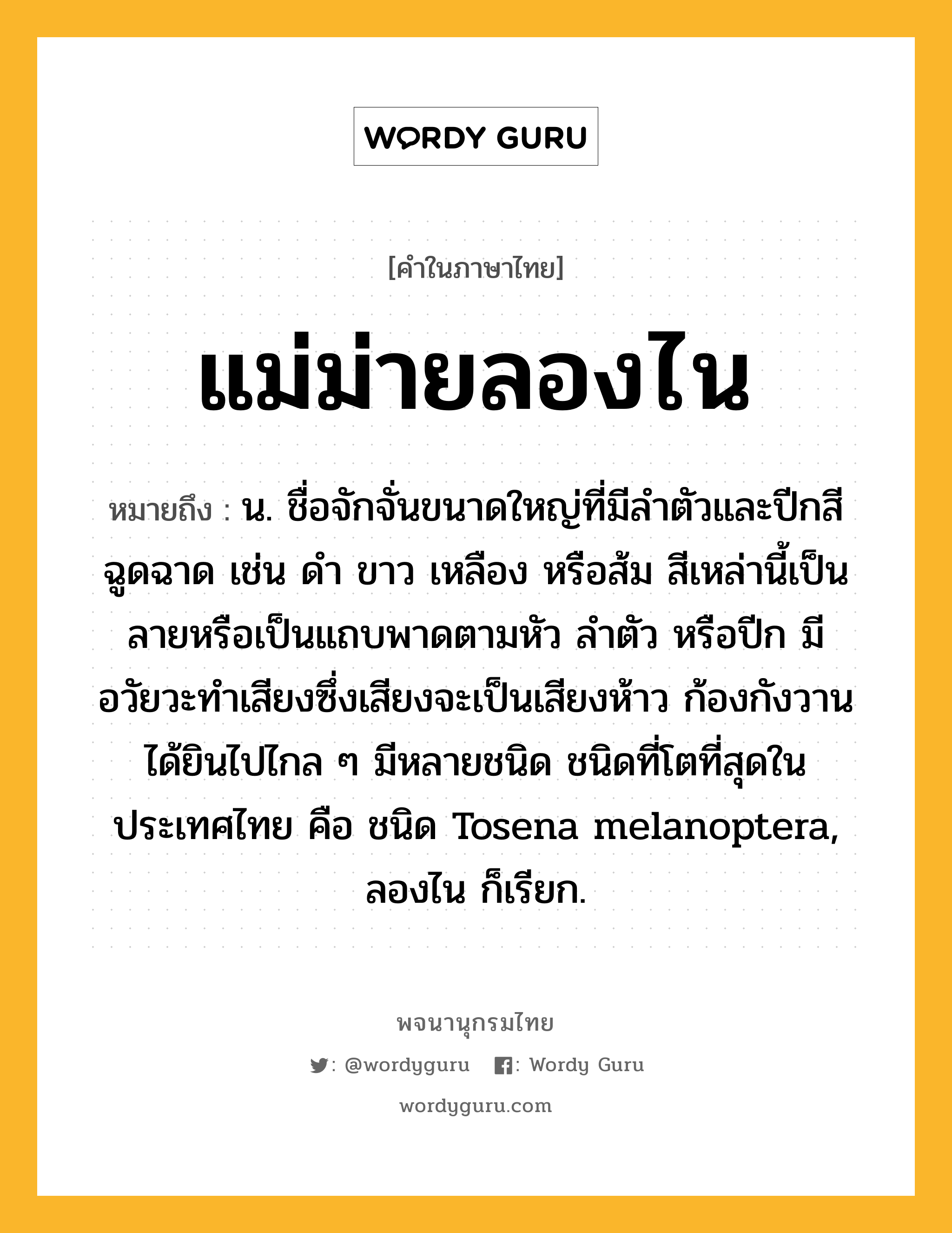 แม่ม่ายลองไน ความหมาย หมายถึงอะไร?, คำในภาษาไทย แม่ม่ายลองไน หมายถึง น. ชื่อจักจั่นขนาดใหญ่ที่มีลําตัวและปีกสีฉูดฉาด เช่น ดํา ขาว เหลือง หรือส้ม สีเหล่านี้เป็นลายหรือเป็นแถบพาดตามหัว ลําตัว หรือปีก มีอวัยวะทําเสียงซึ่งเสียงจะเป็นเสียงห้าว ก้องกังวานได้ยินไปไกล ๆ มีหลายชนิด ชนิดที่โตที่สุดในประเทศไทย คือ ชนิด Tosena melanoptera, ลองไน ก็เรียก.