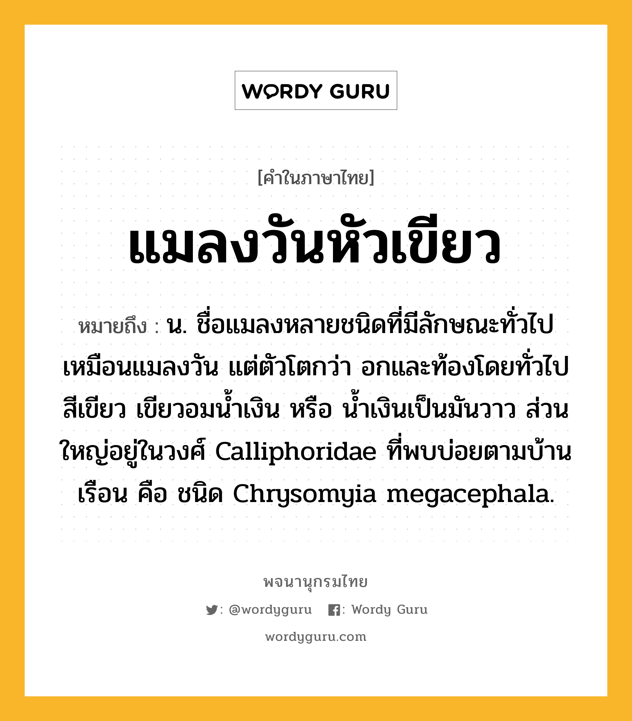 แมลงวันหัวเขียว ความหมาย หมายถึงอะไร?, คำในภาษาไทย แมลงวันหัวเขียว หมายถึง น. ชื่อแมลงหลายชนิดที่มีลักษณะทั่วไปเหมือนแมลงวัน แต่ตัวโตกว่า อกและท้องโดยทั่วไปสีเขียว เขียวอมนํ้าเงิน หรือ นํ้าเงินเป็นมันวาว ส่วนใหญ่อยู่ในวงศ์ Calliphoridae ที่พบบ่อยตามบ้านเรือน คือ ชนิด Chrysomyia megacephala.