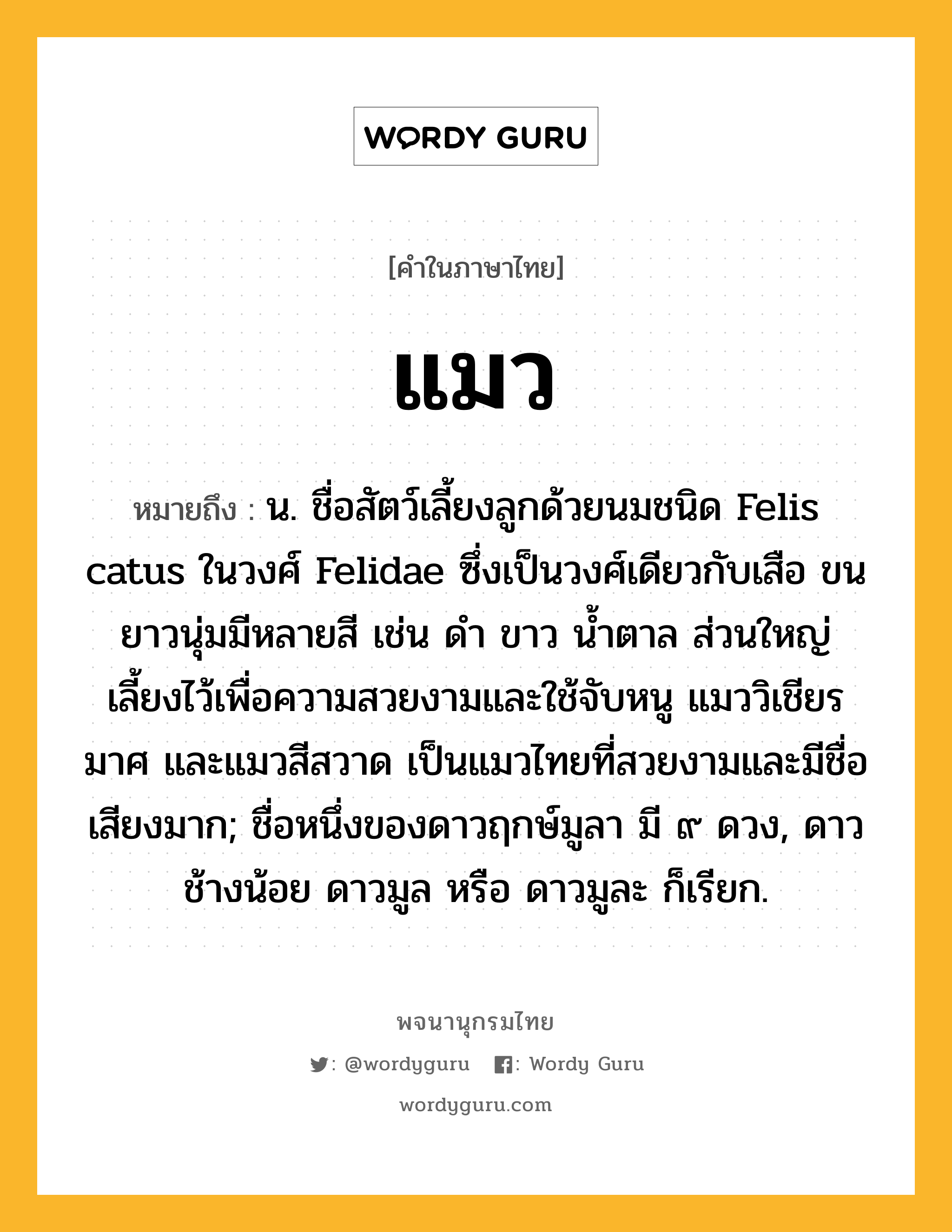 แมว ความหมาย หมายถึงอะไร?, คำในภาษาไทย แมว หมายถึง น. ชื่อสัตว์เลี้ยงลูกด้วยนมชนิด Felis catus ในวงศ์ Felidae ซึ่งเป็นวงศ์เดียวกับเสือ ขนยาวนุ่มมีหลายสี เช่น ดํา ขาว นํ้าตาล ส่วนใหญ่เลี้ยงไว้เพื่อความสวยงามและใช้จับหนู แมววิเชียรมาศ และแมวสีสวาด เป็นแมวไทยที่สวยงามและมีชื่อเสียงมาก; ชื่อหนึ่งของดาวฤกษ์มูลา มี ๙ ดวง, ดาวช้างน้อย ดาวมูล หรือ ดาวมูละ ก็เรียก.