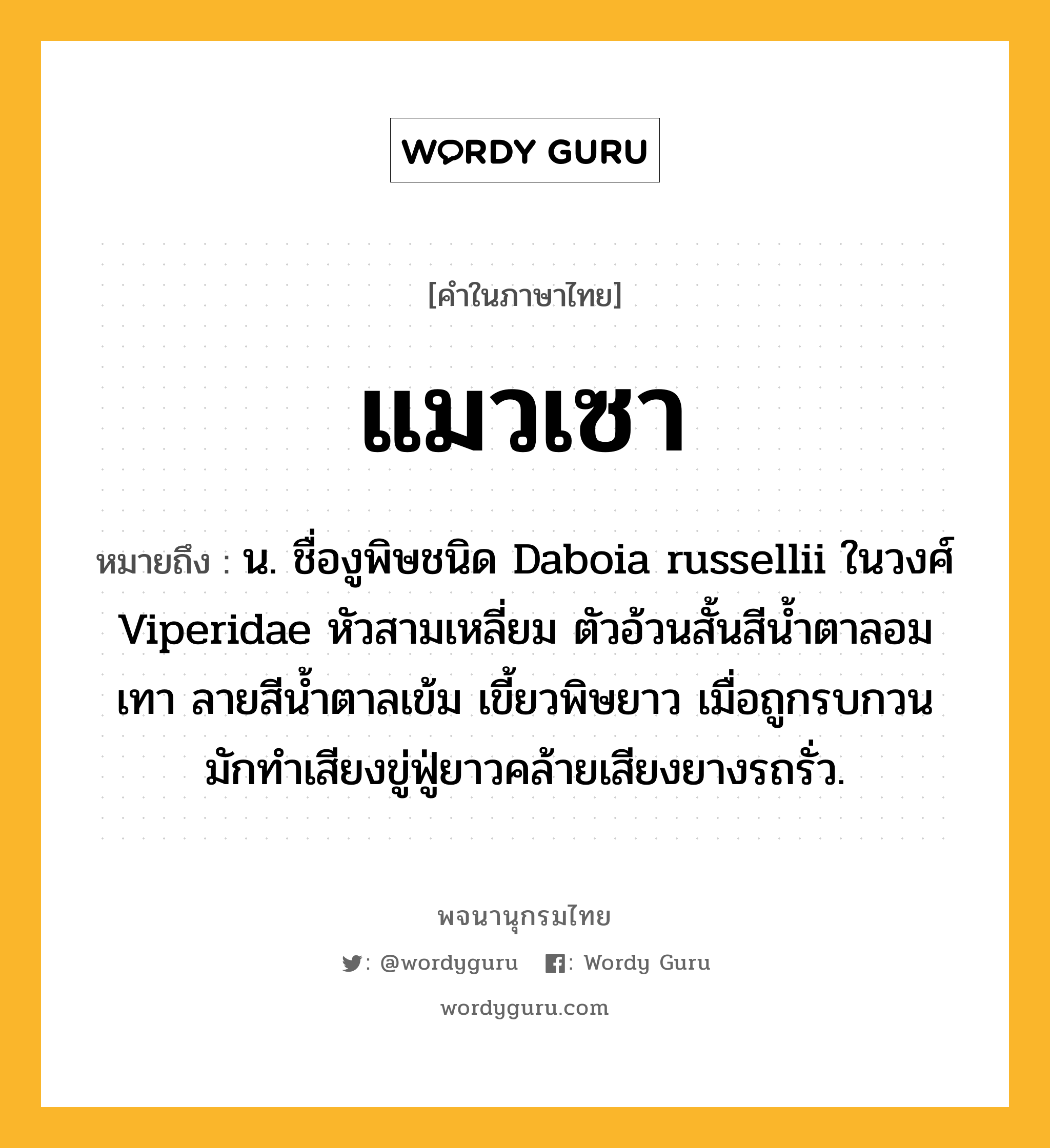 แมวเซา ความหมาย หมายถึงอะไร?, คำในภาษาไทย แมวเซา หมายถึง น. ชื่องูพิษชนิด Daboia russellii ในวงศ์ Viperidae หัวสามเหลี่ยม ตัวอ้วนสั้นสีนํ้าตาลอมเทา ลายสีนํ้าตาลเข้ม เขี้ยวพิษยาว เมื่อถูกรบกวนมักทําเสียงขู่ฟู่ยาวคล้ายเสียงยางรถรั่ว.