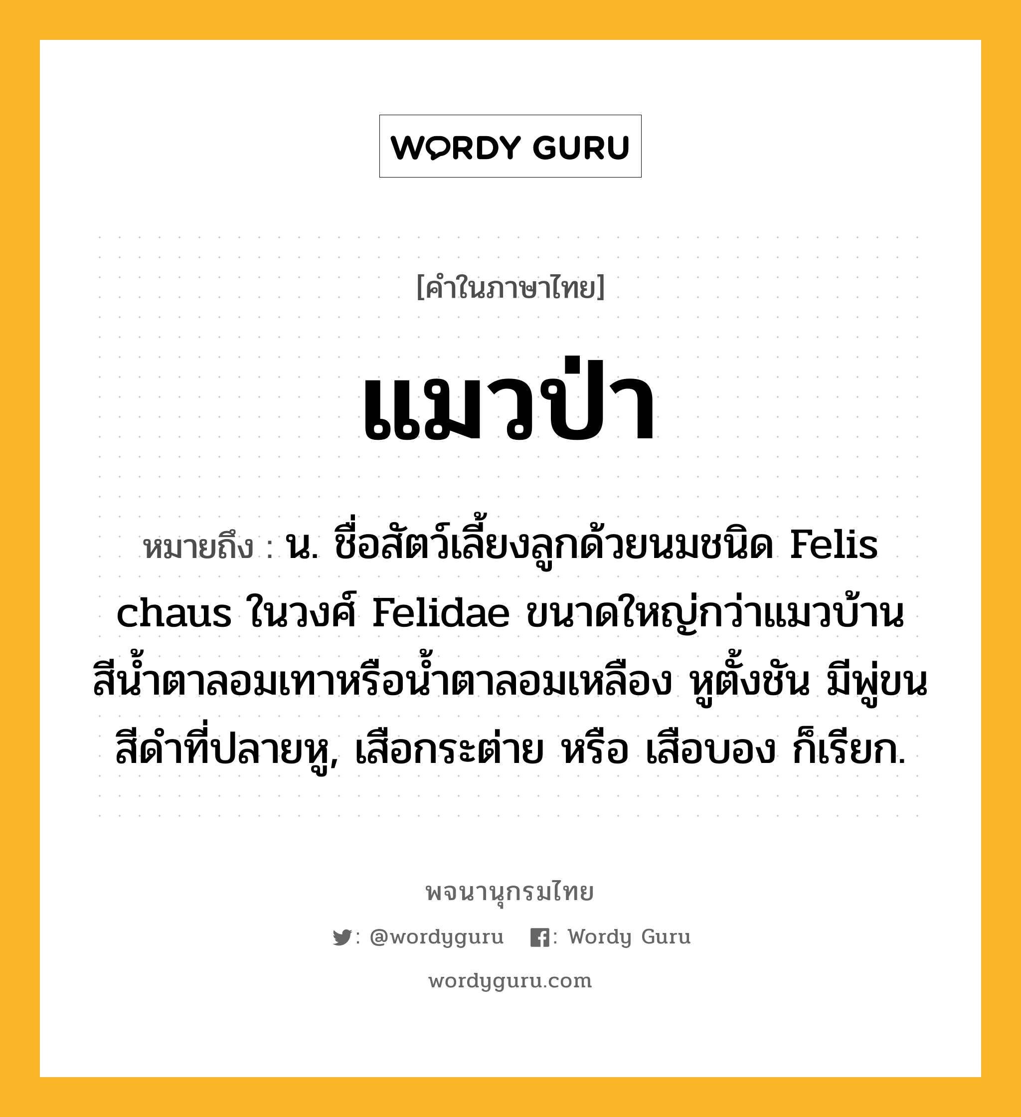 แมวป่า ความหมาย หมายถึงอะไร?, คำในภาษาไทย แมวป่า หมายถึง น. ชื่อสัตว์เลี้ยงลูกด้วยนมชนิด Felis chaus ในวงศ์ Felidae ขนาดใหญ่กว่าแมวบ้าน สีนํ้าตาลอมเทาหรือนํ้าตาลอมเหลือง หูตั้งชัน มีพู่ขนสีดําที่ปลายหู, เสือกระต่าย หรือ เสือบอง ก็เรียก.