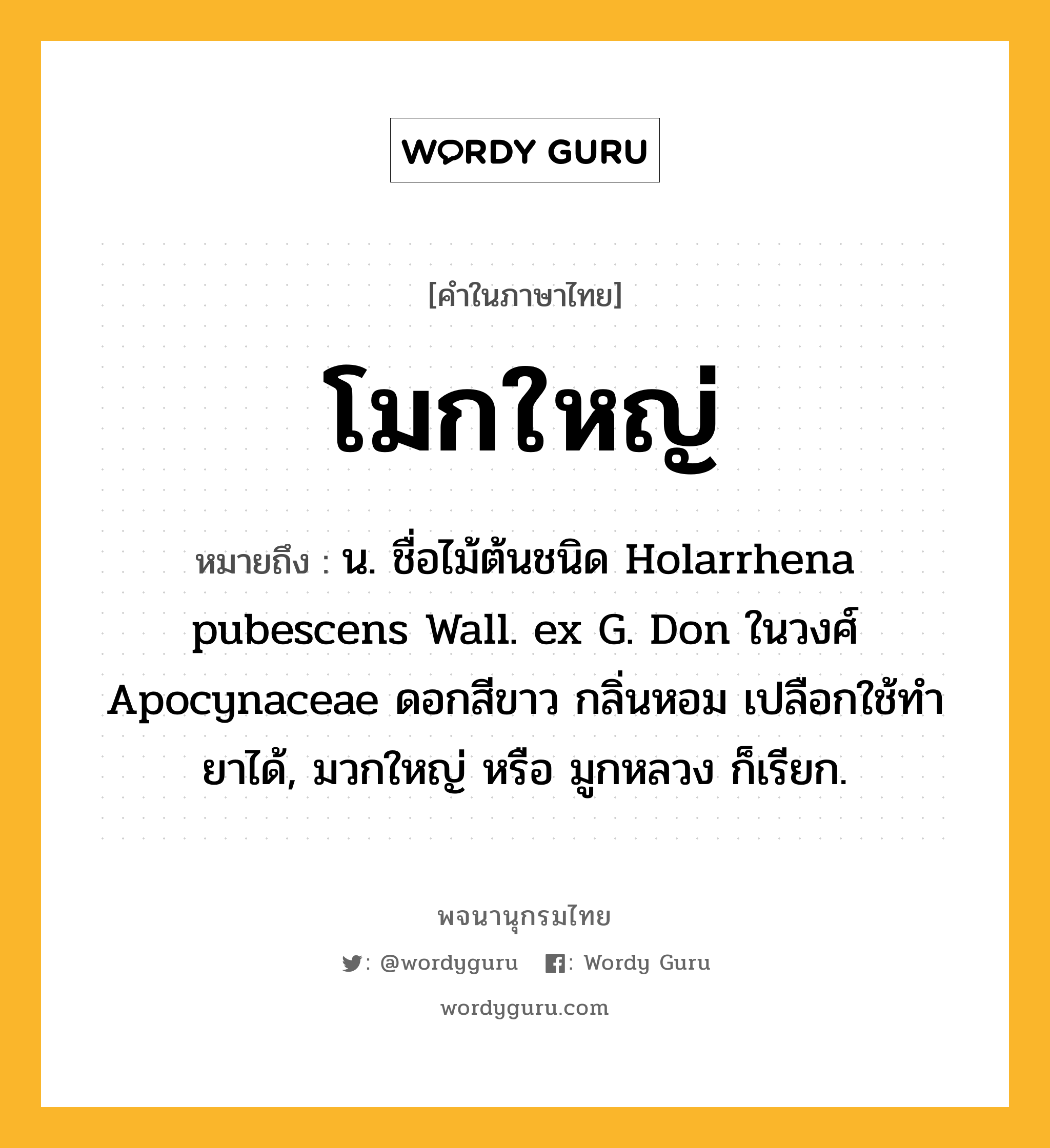 โมกใหญ่ ความหมาย หมายถึงอะไร?, คำในภาษาไทย โมกใหญ่ หมายถึง น. ชื่อไม้ต้นชนิด Holarrhena pubescens Wall. ex G. Don ในวงศ์ Apocynaceae ดอกสีขาว กลิ่นหอม เปลือกใช้ทํายาได้, มวกใหญ่ หรือ มูกหลวง ก็เรียก.