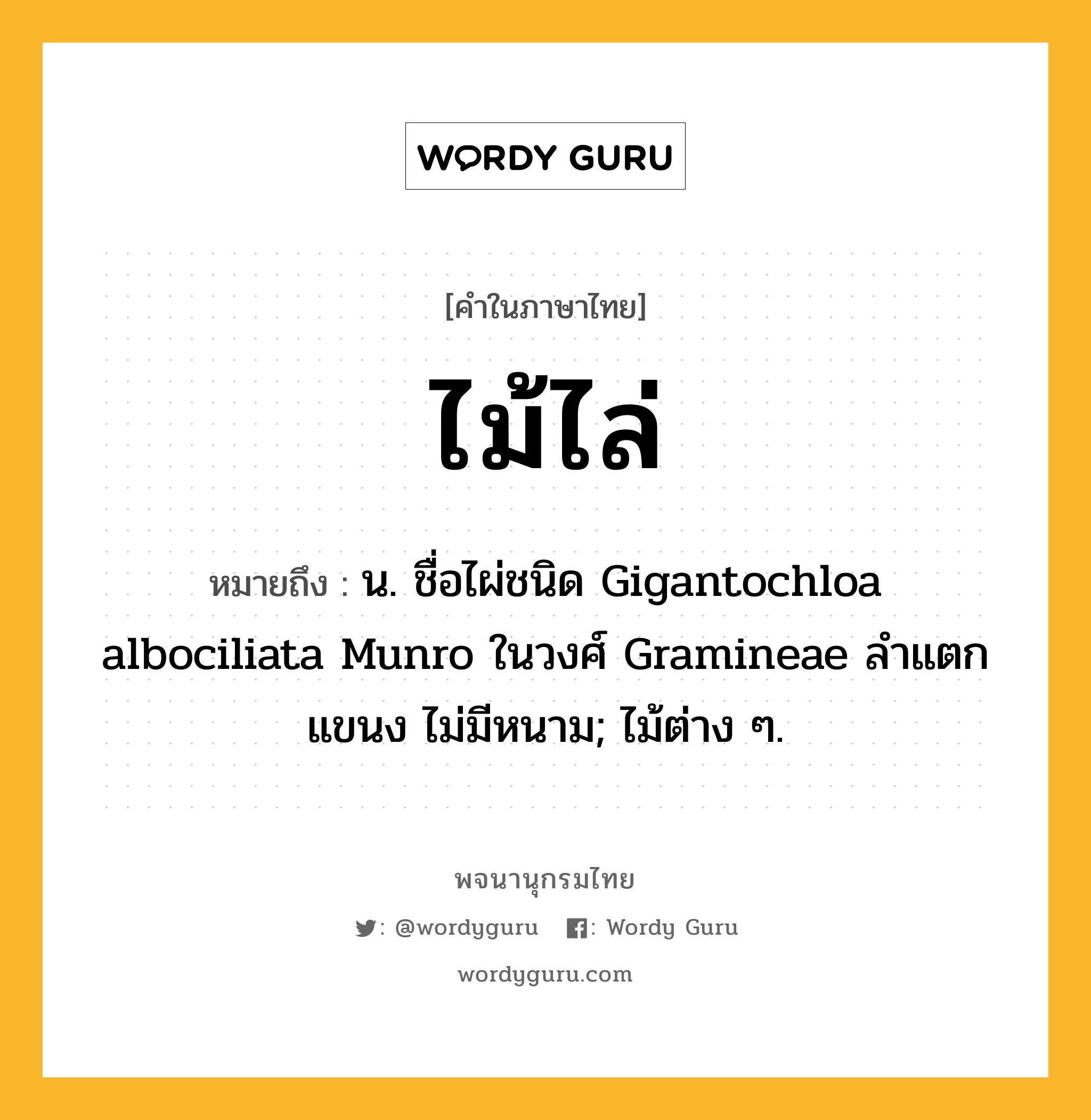 ไม้ไล่ ความหมาย หมายถึงอะไร?, คำในภาษาไทย ไม้ไล่ หมายถึง น. ชื่อไผ่ชนิด Gigantochloa albociliata Munro ในวงศ์ Gramineae ลําแตกแขนง ไม่มีหนาม; ไม้ต่าง ๆ.