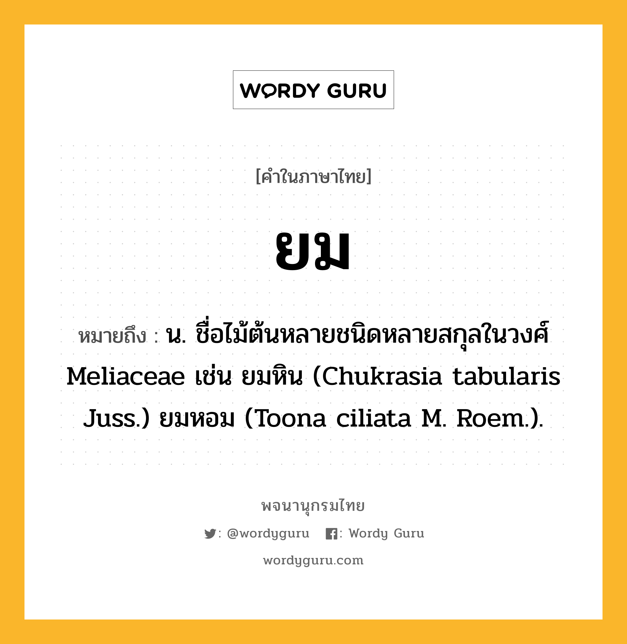 ยม ความหมาย หมายถึงอะไร?, คำในภาษาไทย ยม หมายถึง น. ชื่อไม้ต้นหลายชนิดหลายสกุลในวงศ์ Meliaceae เช่น ยมหิน (Chukrasia tabularis Juss.) ยมหอม (Toona ciliata M. Roem.).