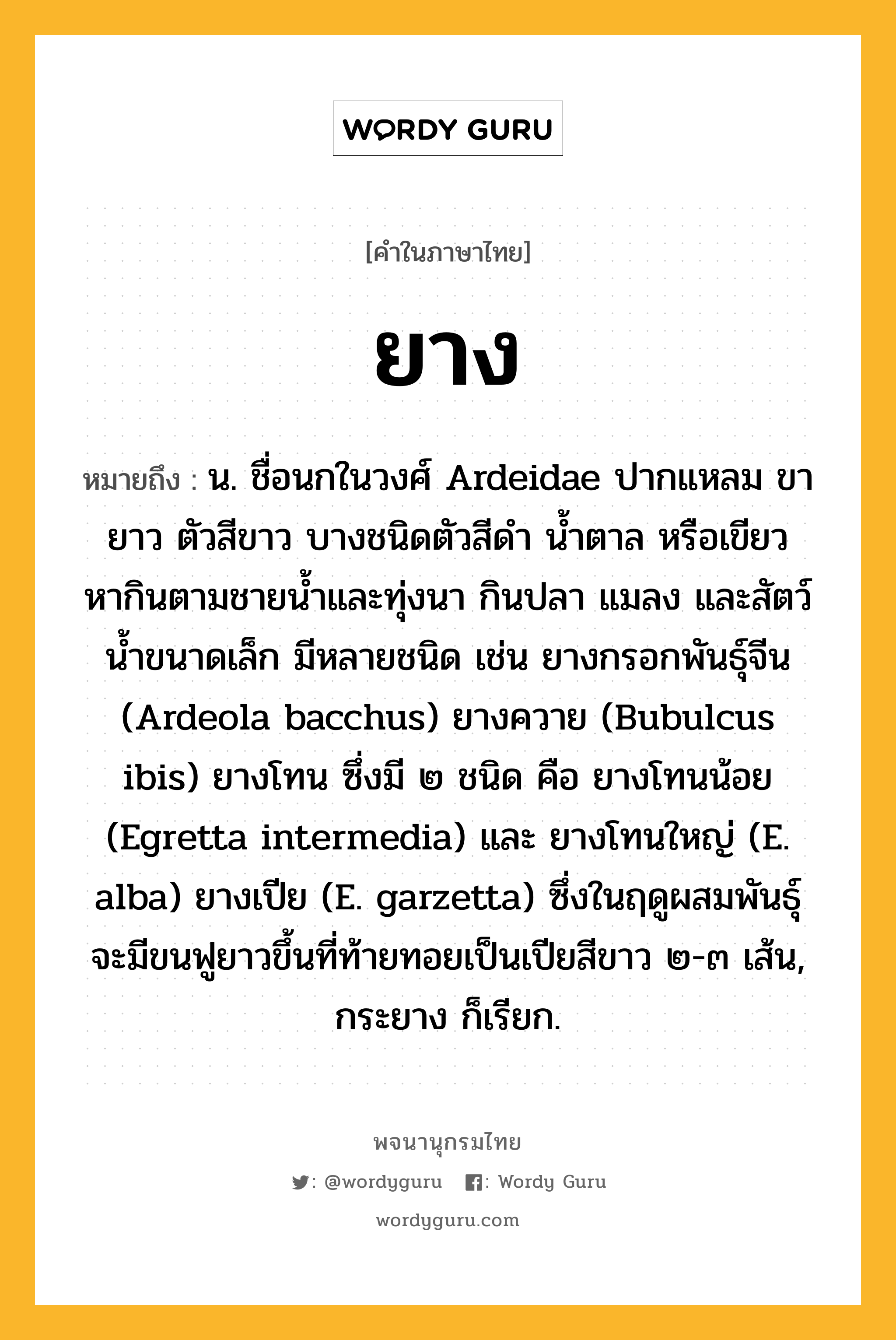 ยาง ความหมาย หมายถึงอะไร?, คำในภาษาไทย ยาง หมายถึง น. ชื่อนกในวงศ์ Ardeidae ปากแหลม ขายาว ตัวสีขาว บางชนิดตัวสีดํา นํ้าตาล หรือเขียว หากินตามชายนํ้าและทุ่งนา กินปลา แมลง และสัตว์นํ้าขนาดเล็ก มีหลายชนิด เช่น ยางกรอกพันธุ์จีน (Ardeola bacchus) ยางควาย (Bubulcus ibis) ยางโทน ซึ่งมี ๒ ชนิด คือ ยางโทนน้อย (Egretta intermedia) และ ยางโทนใหญ่ (E. alba) ยางเปีย (E. garzetta) ซึ่งในฤดูผสมพันธุ์จะมีขนฟูยาวขึ้นที่ท้ายทอยเป็นเปียสีขาว ๒-๓ เส้น, กระยาง ก็เรียก.